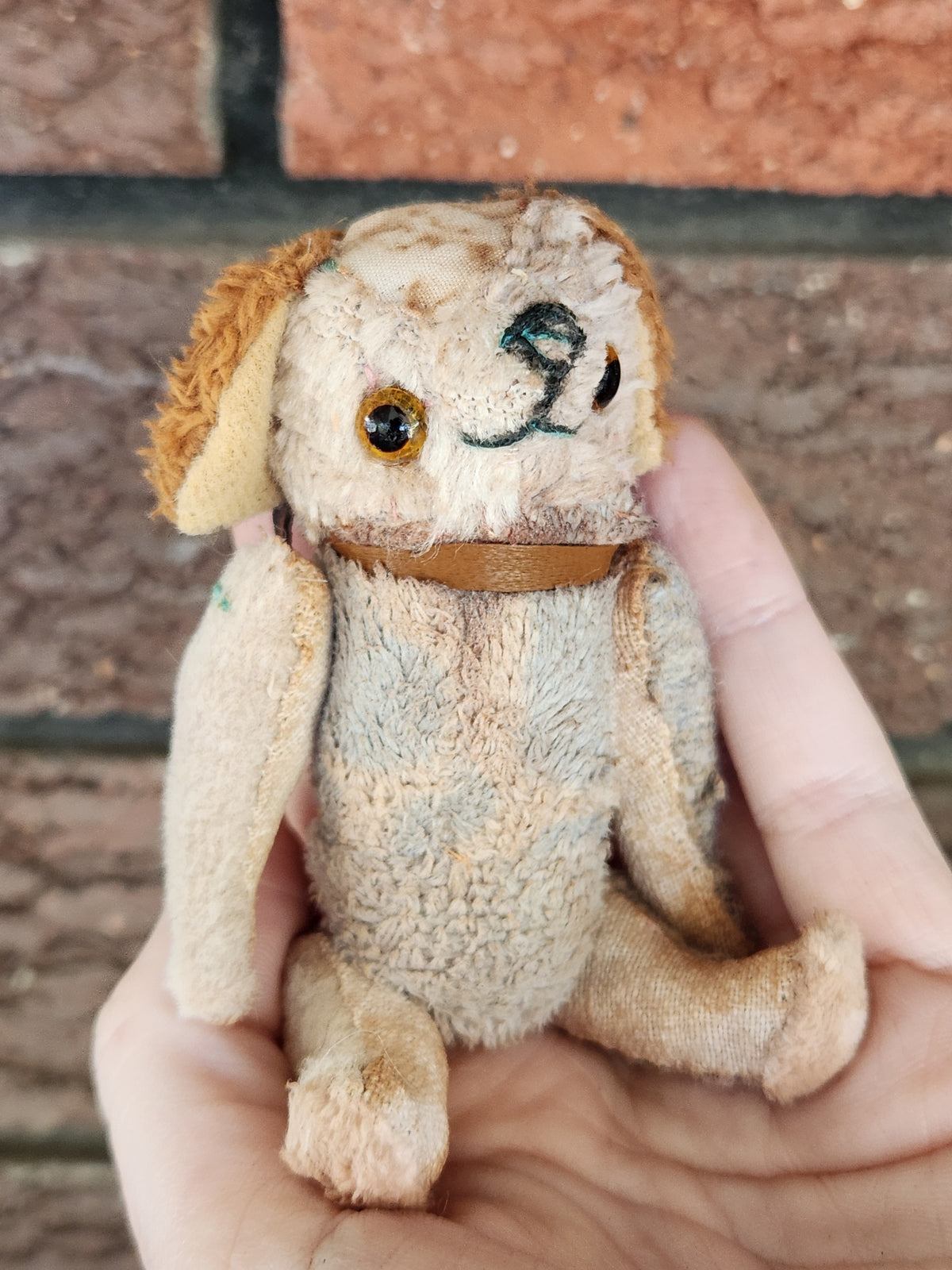 Raggy Dog