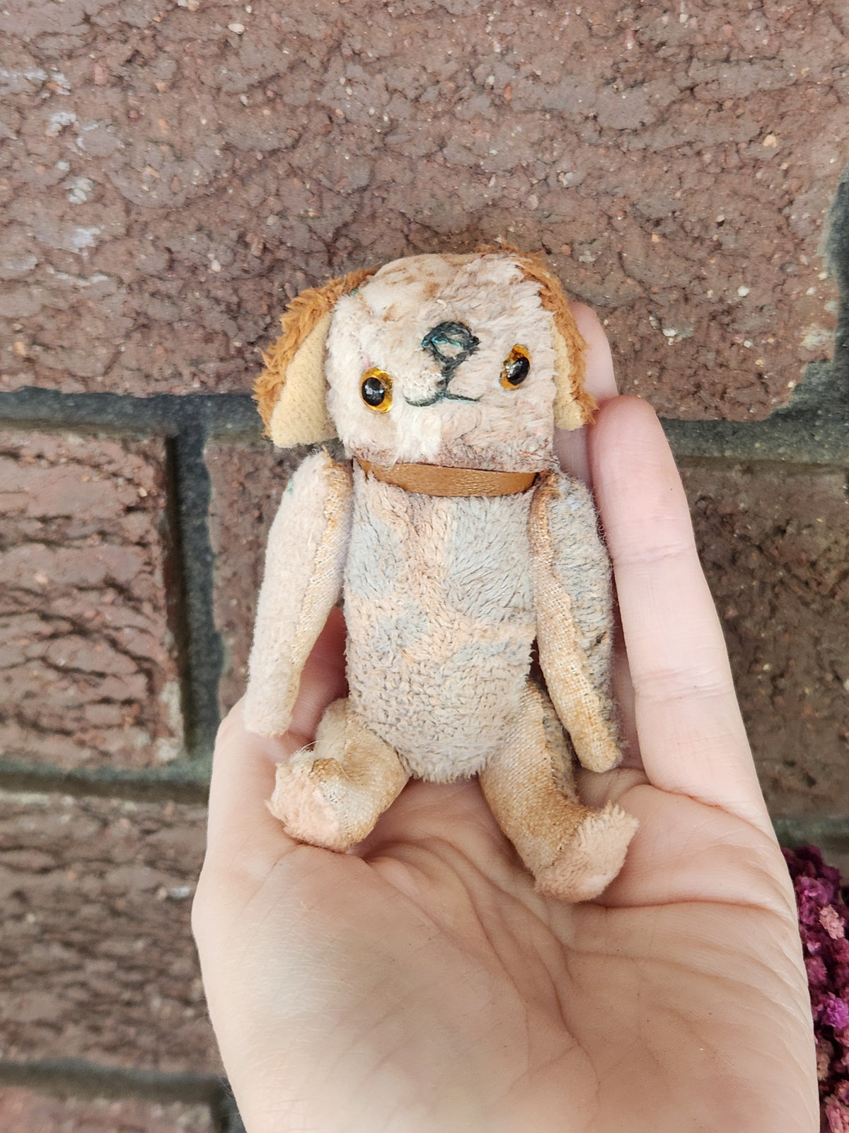 Raggy Dog