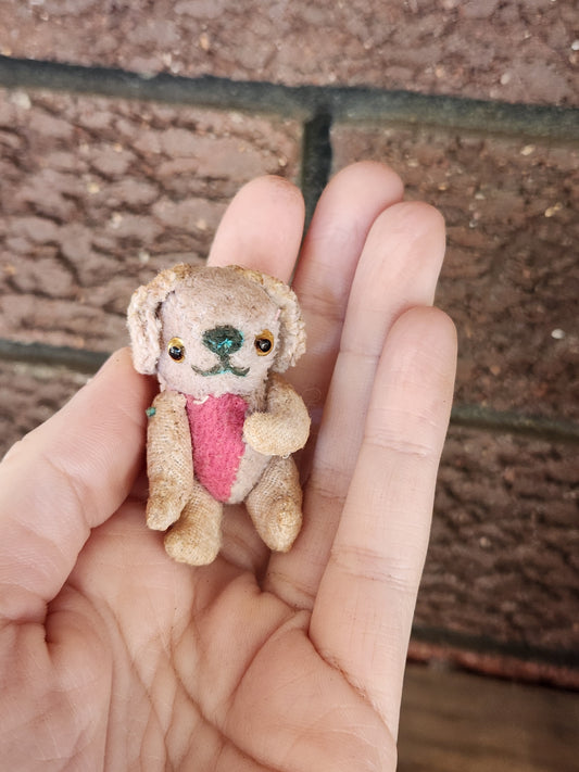 Mini Raggy Pup