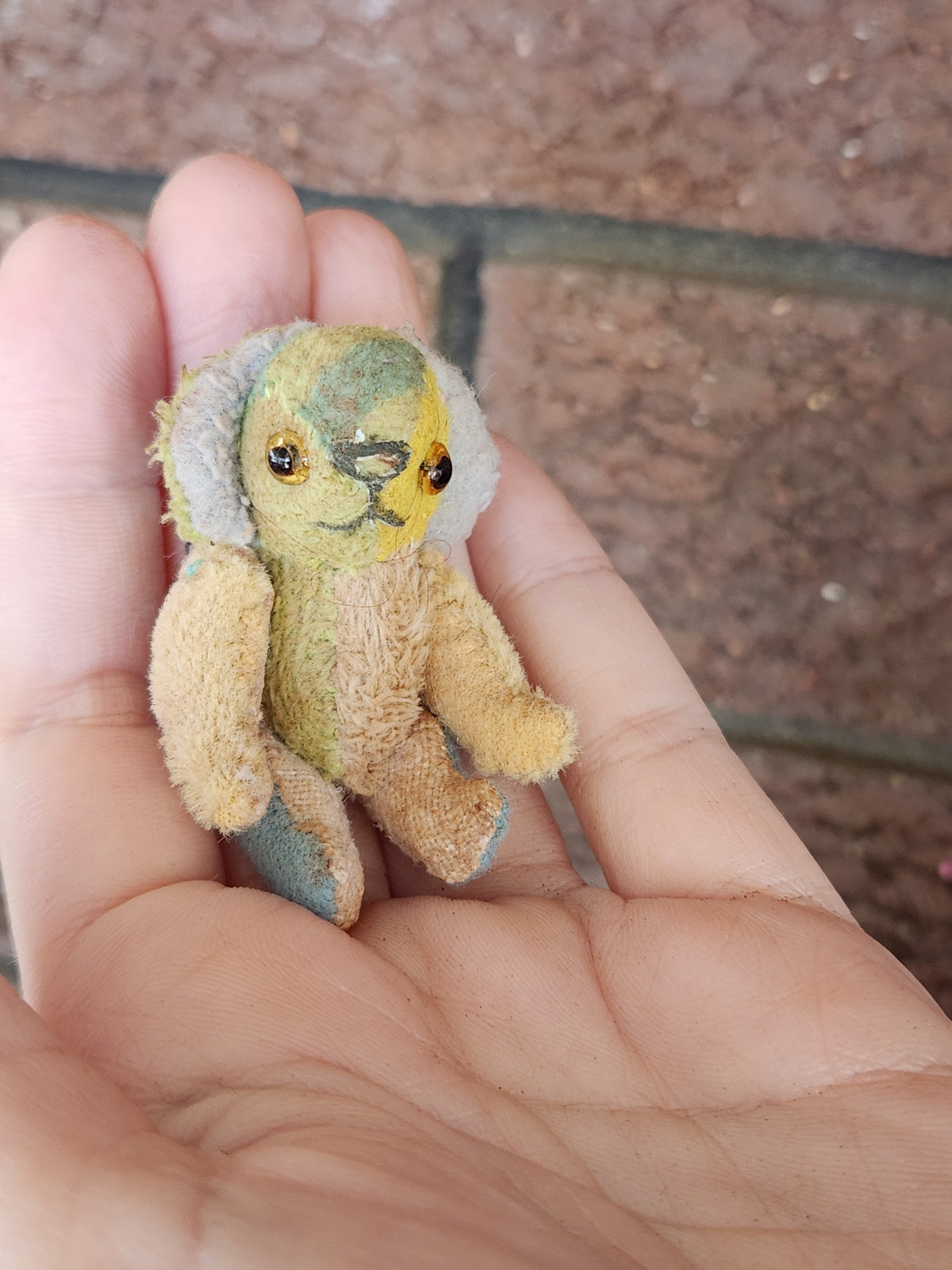 Mini Raggy Pup