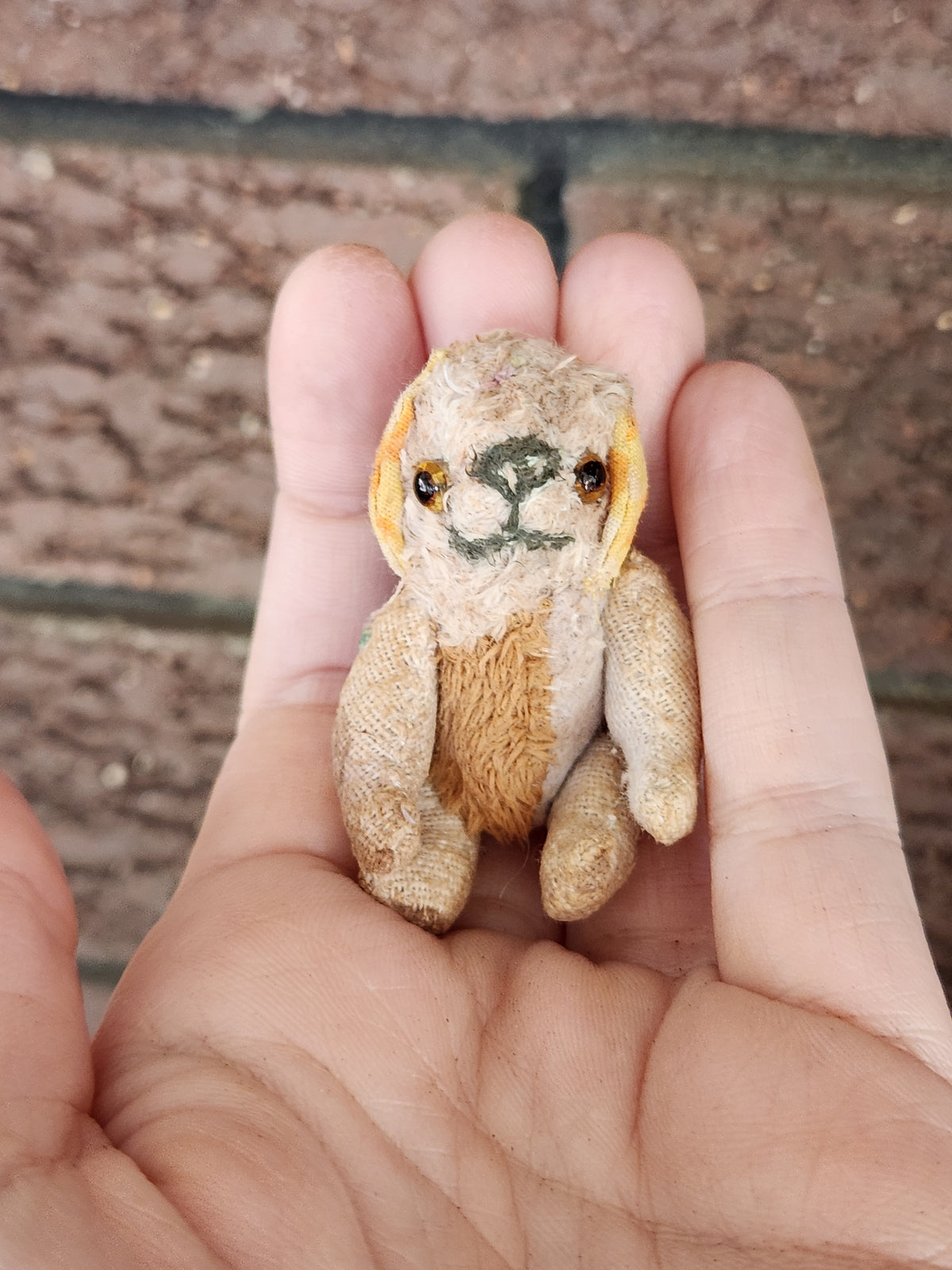 Mini Raggy Pup