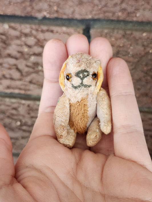 Mini Raggy Pup