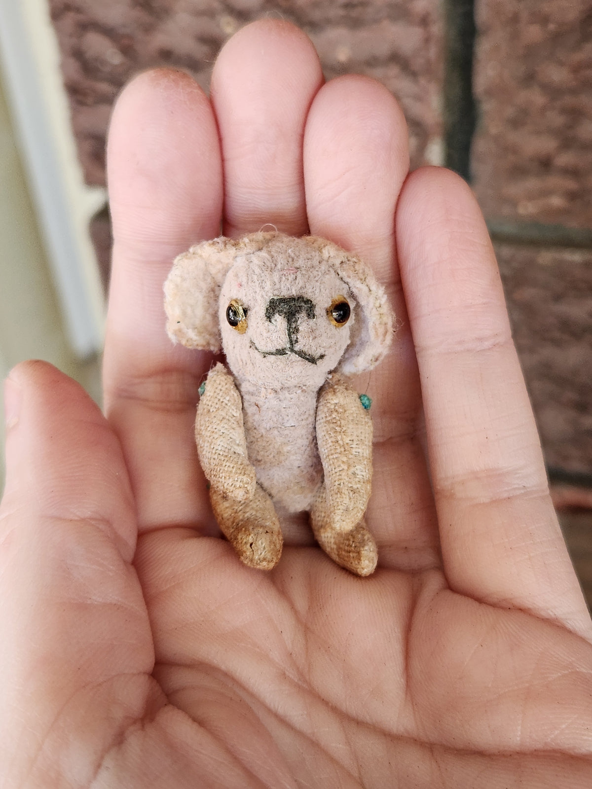 Mini Raggy Pup