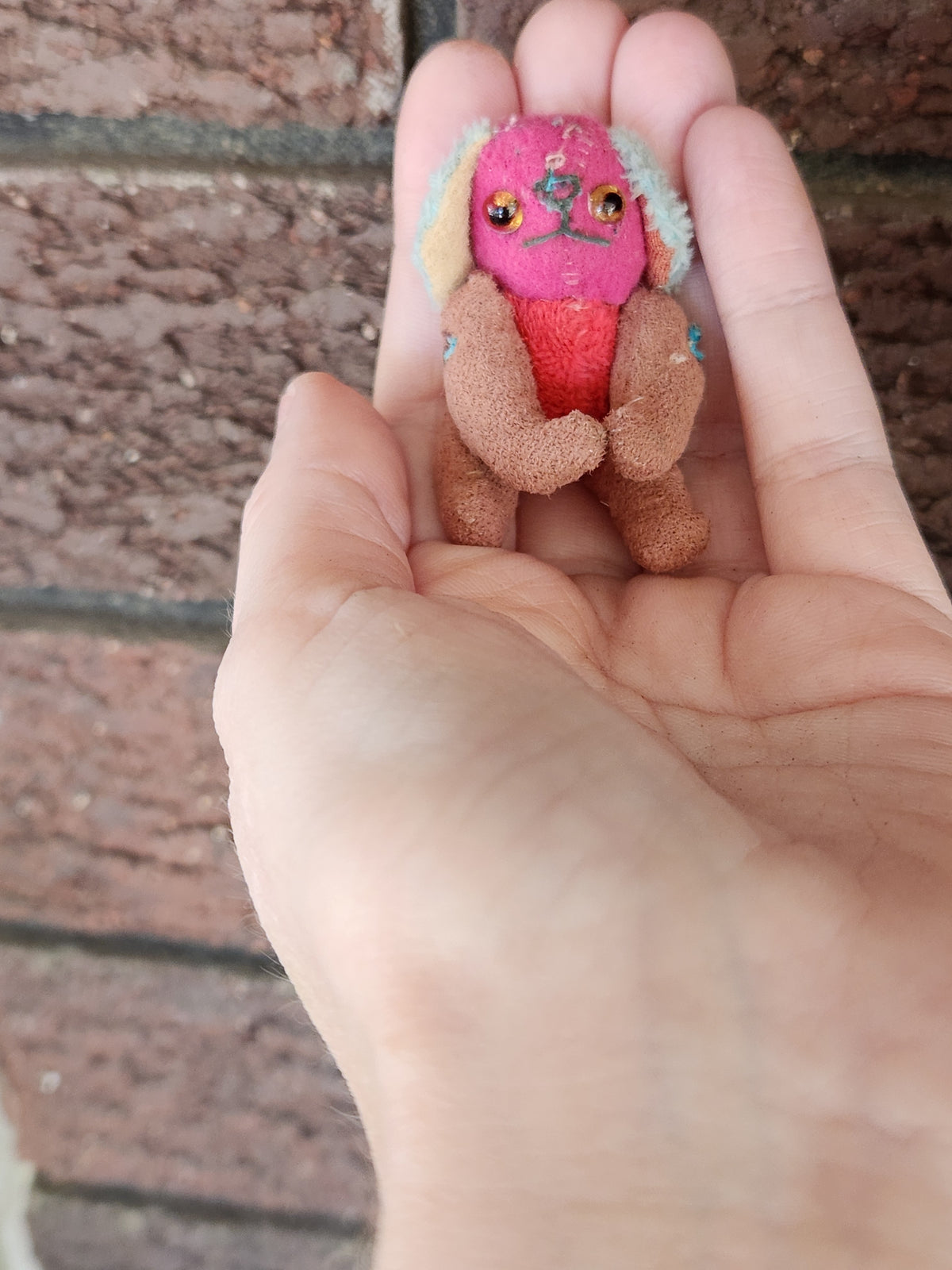 Mini Raggy Pup
