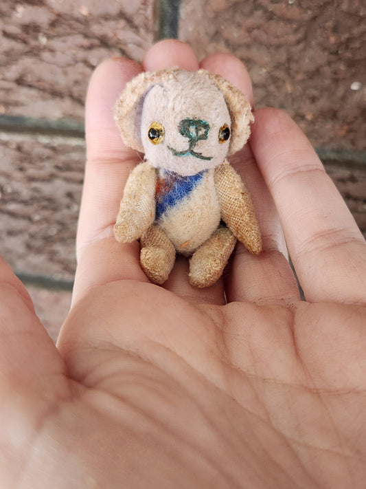 Mini Raggy Pup
