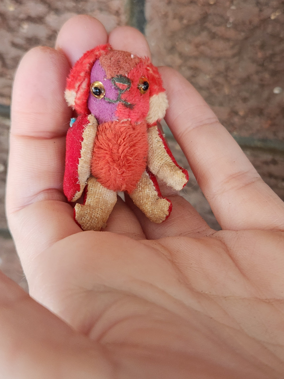 Mini Raggy Pup