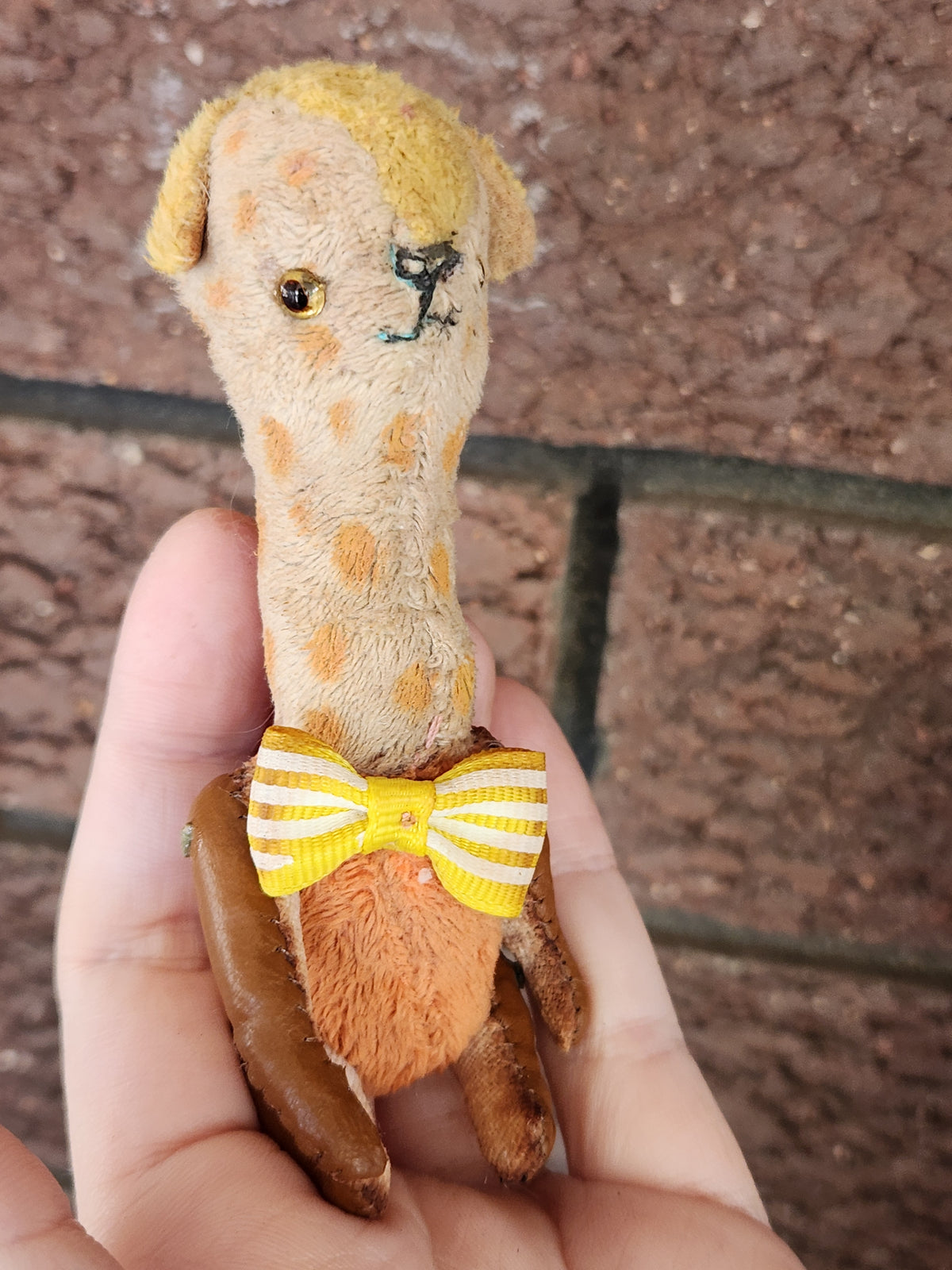 Raggy Giraffe