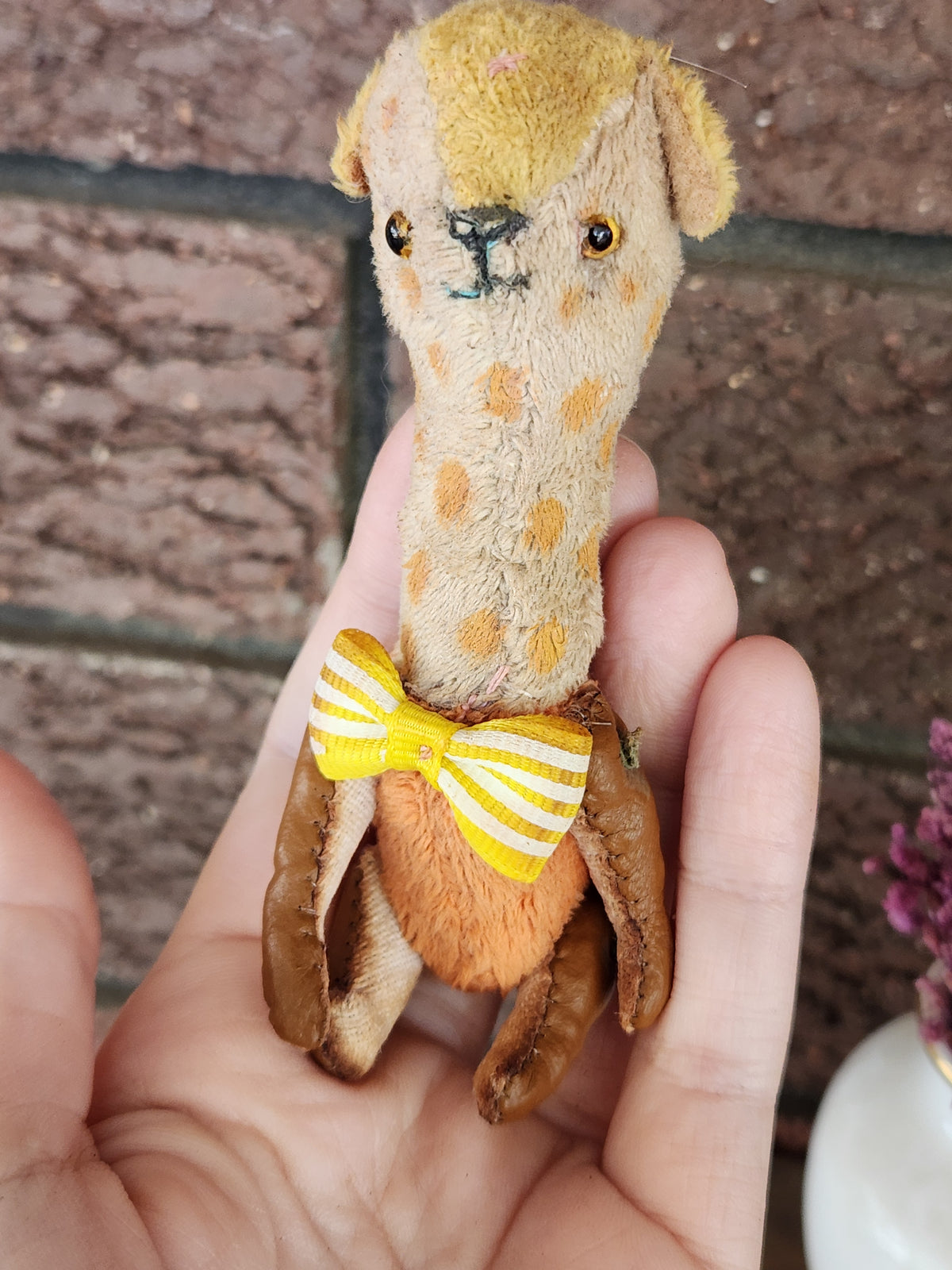 Raggy Giraffe