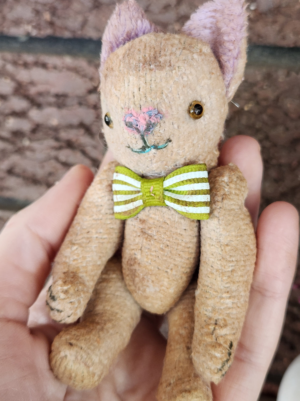 Raggy Cat