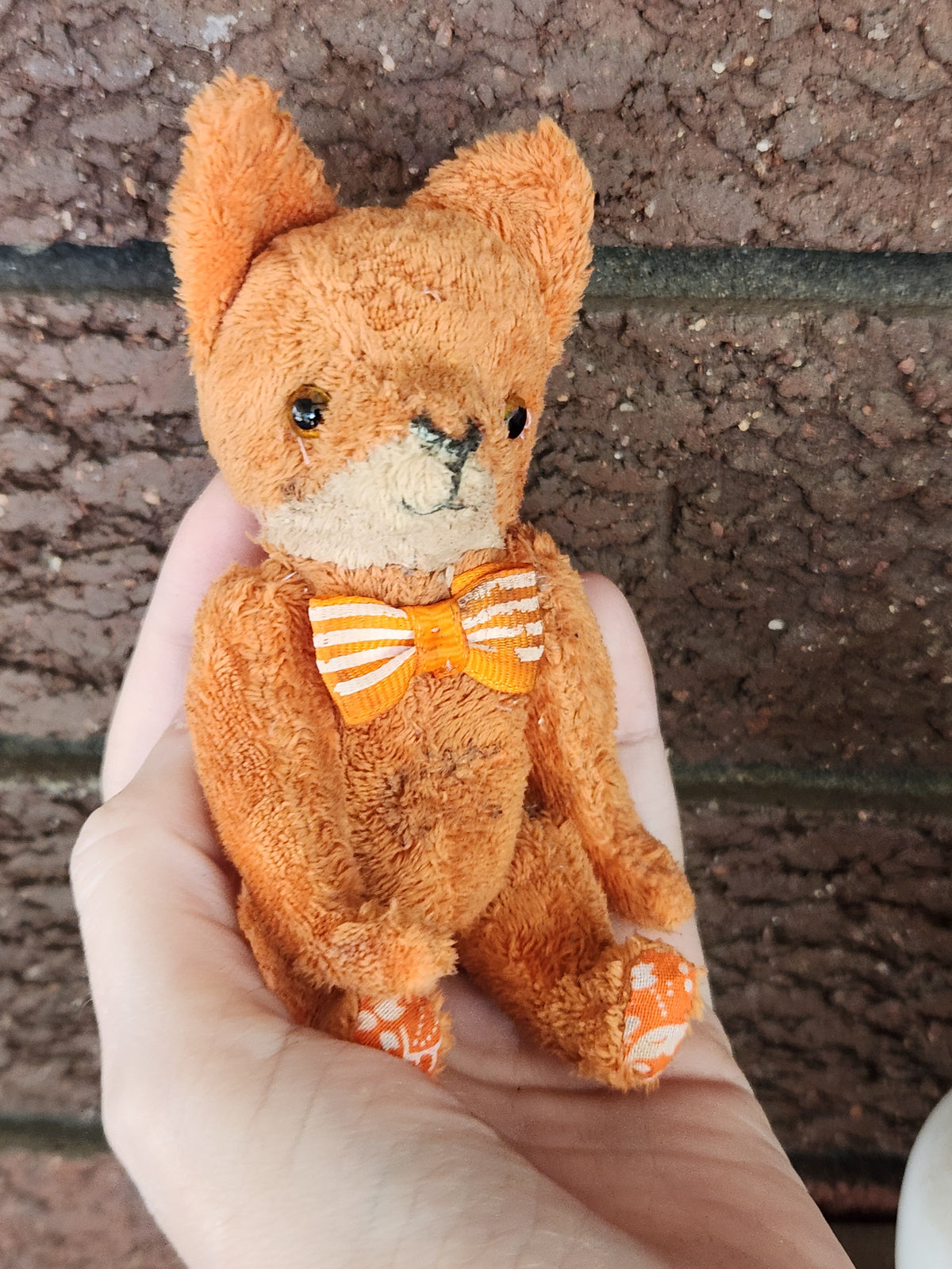 Raggy Fox