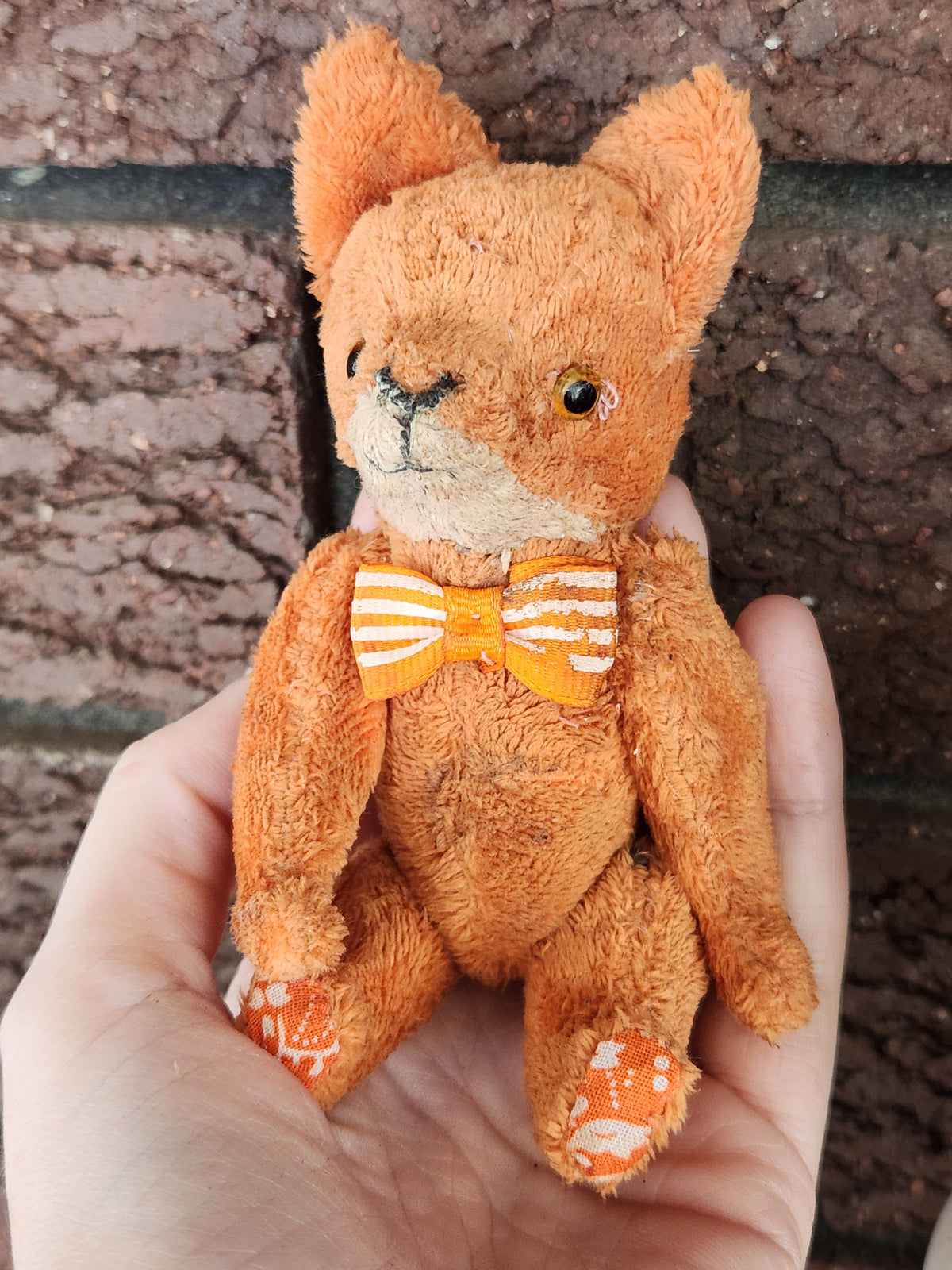 Raggy Fox