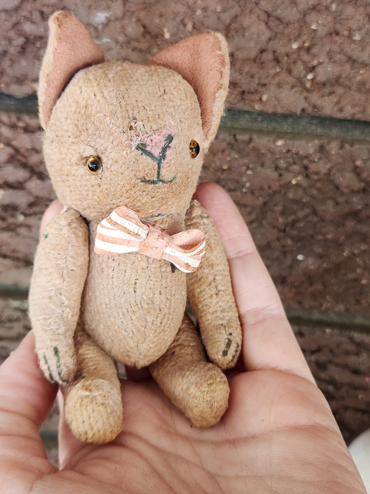 Raggy Cat