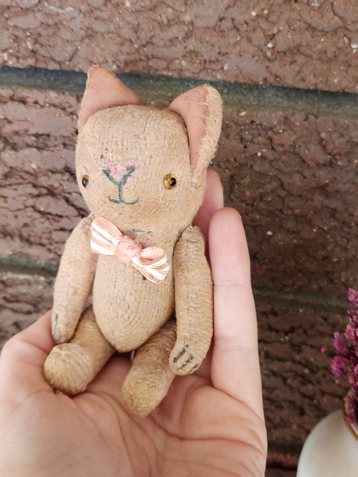 Raggy Cat