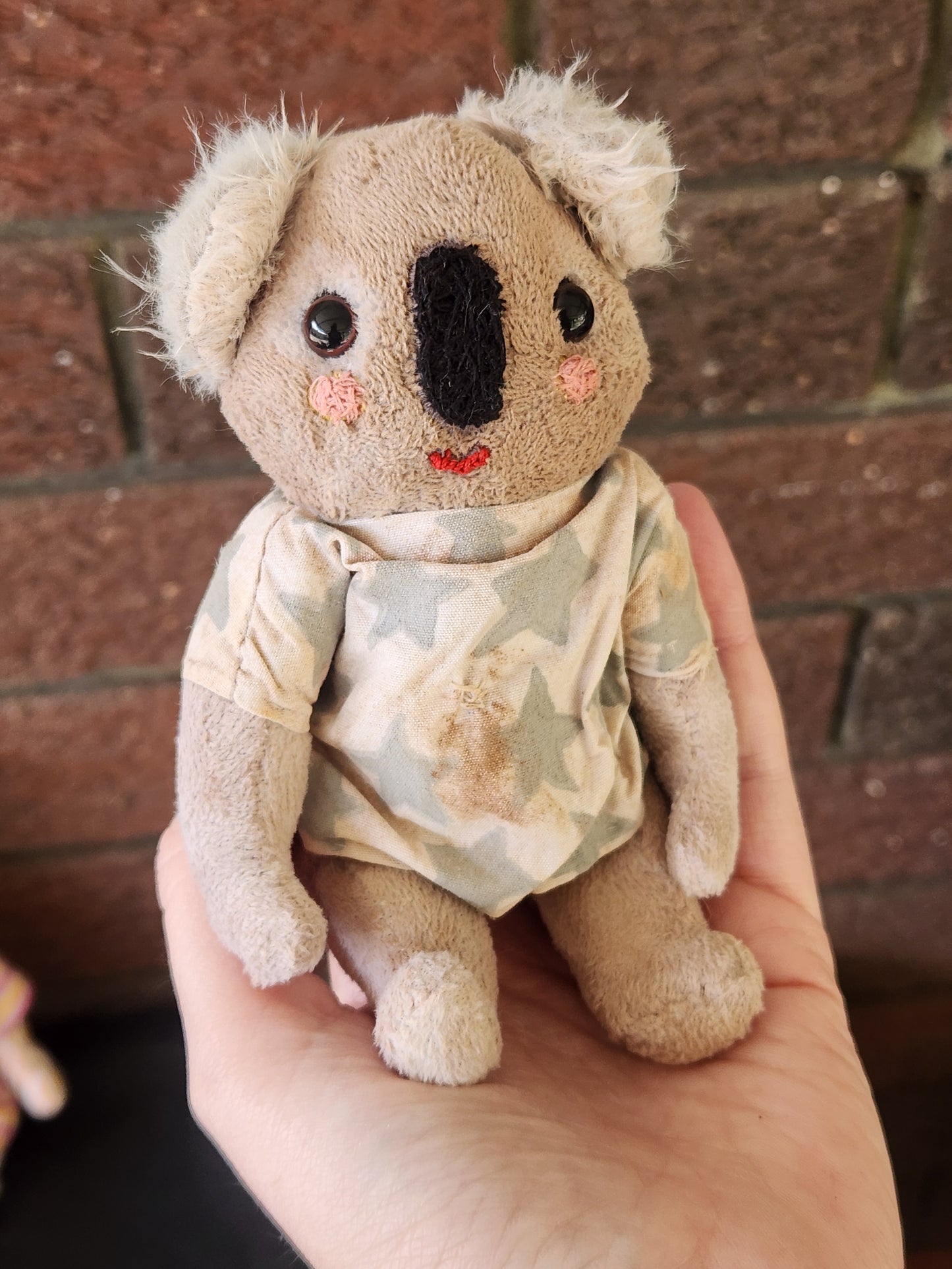 Raggy Koala
