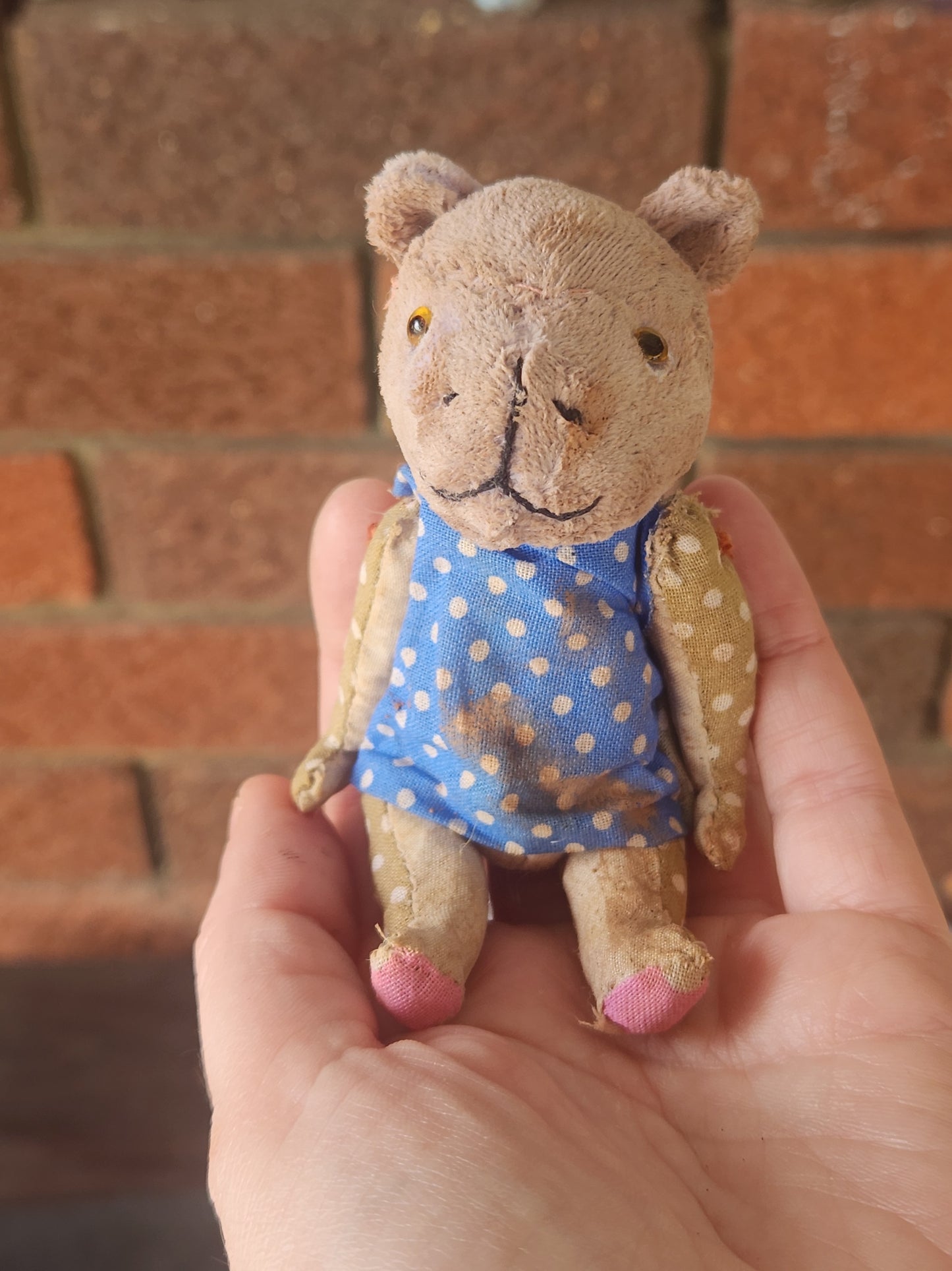 Raggy Hippo