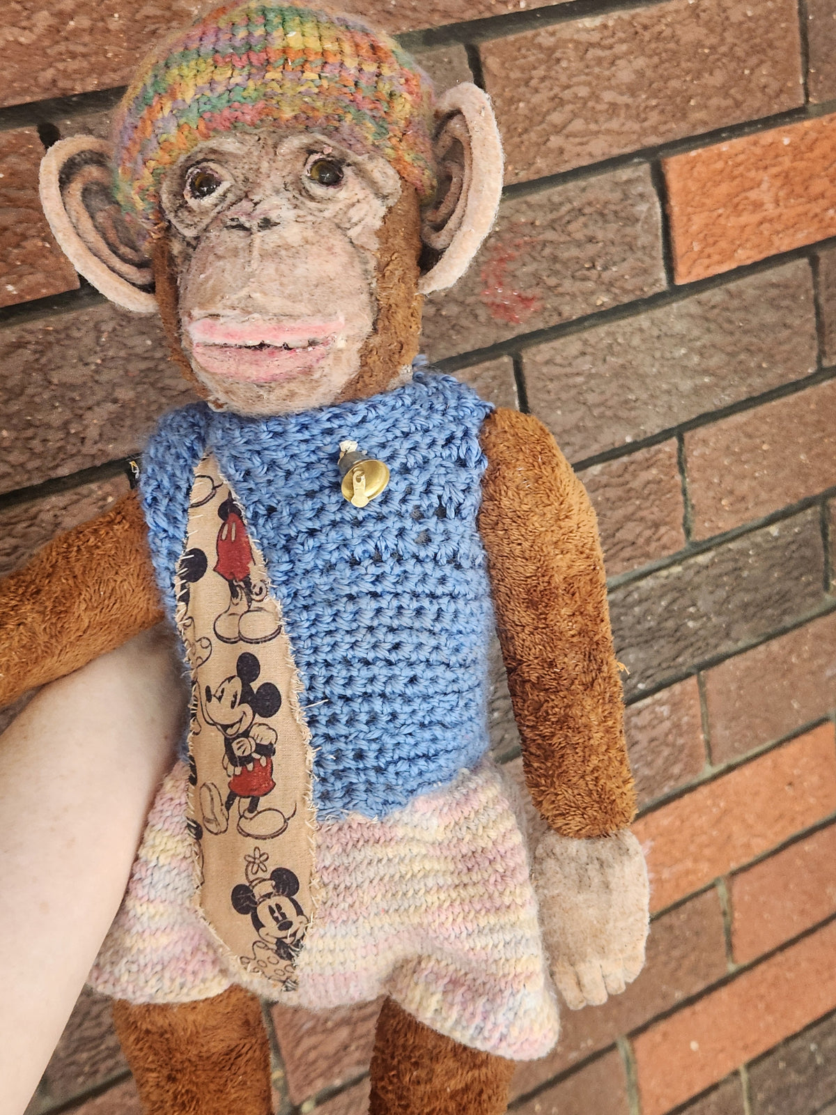 Raggy Chimp