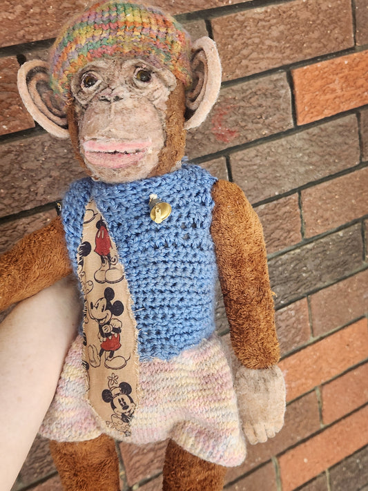 Raggy Chimp
