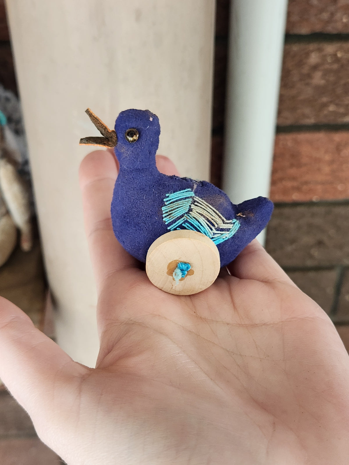 Raggy Duck