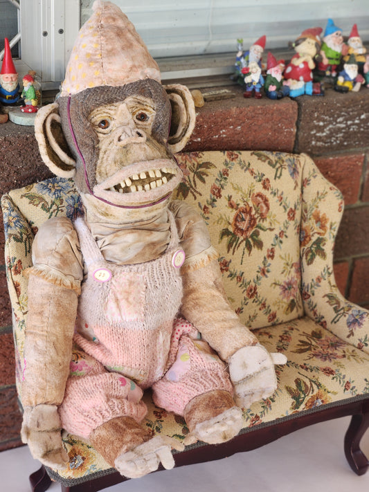 Gabby the Chimpanzee