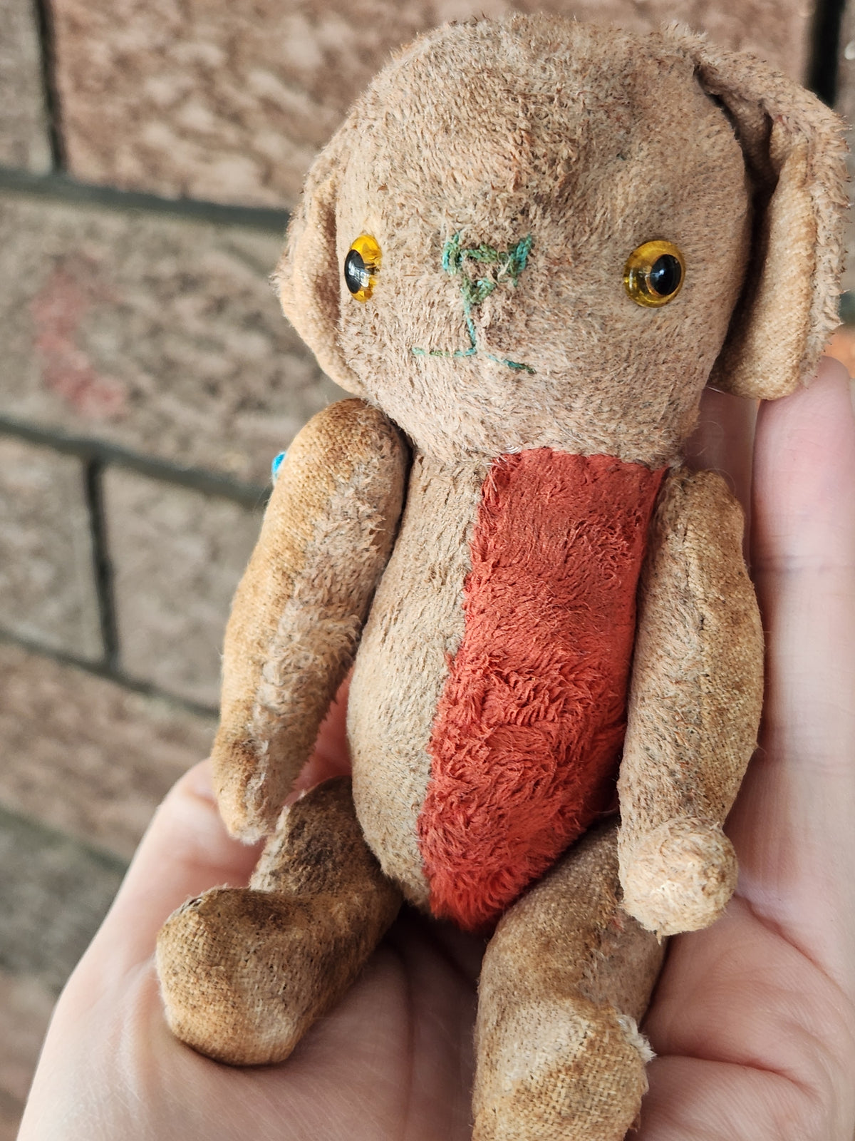Raggy Dog