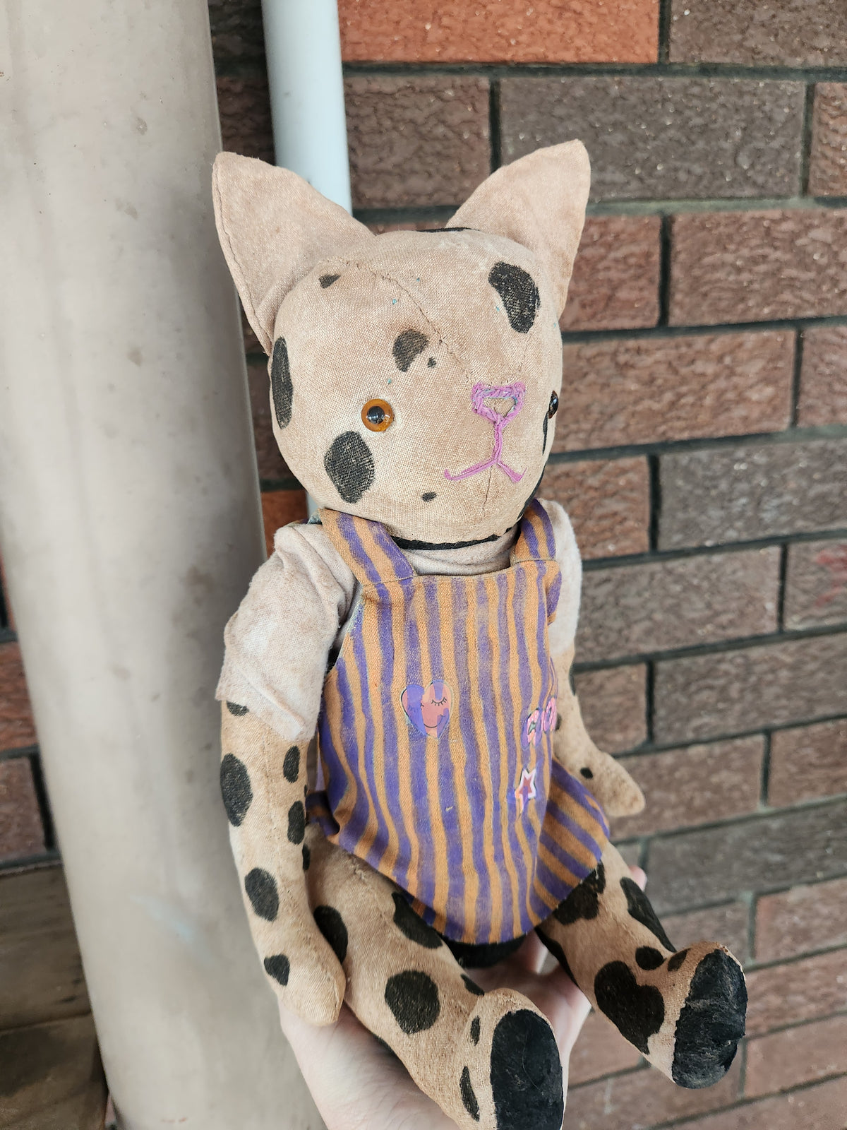 Large Raggy Cat