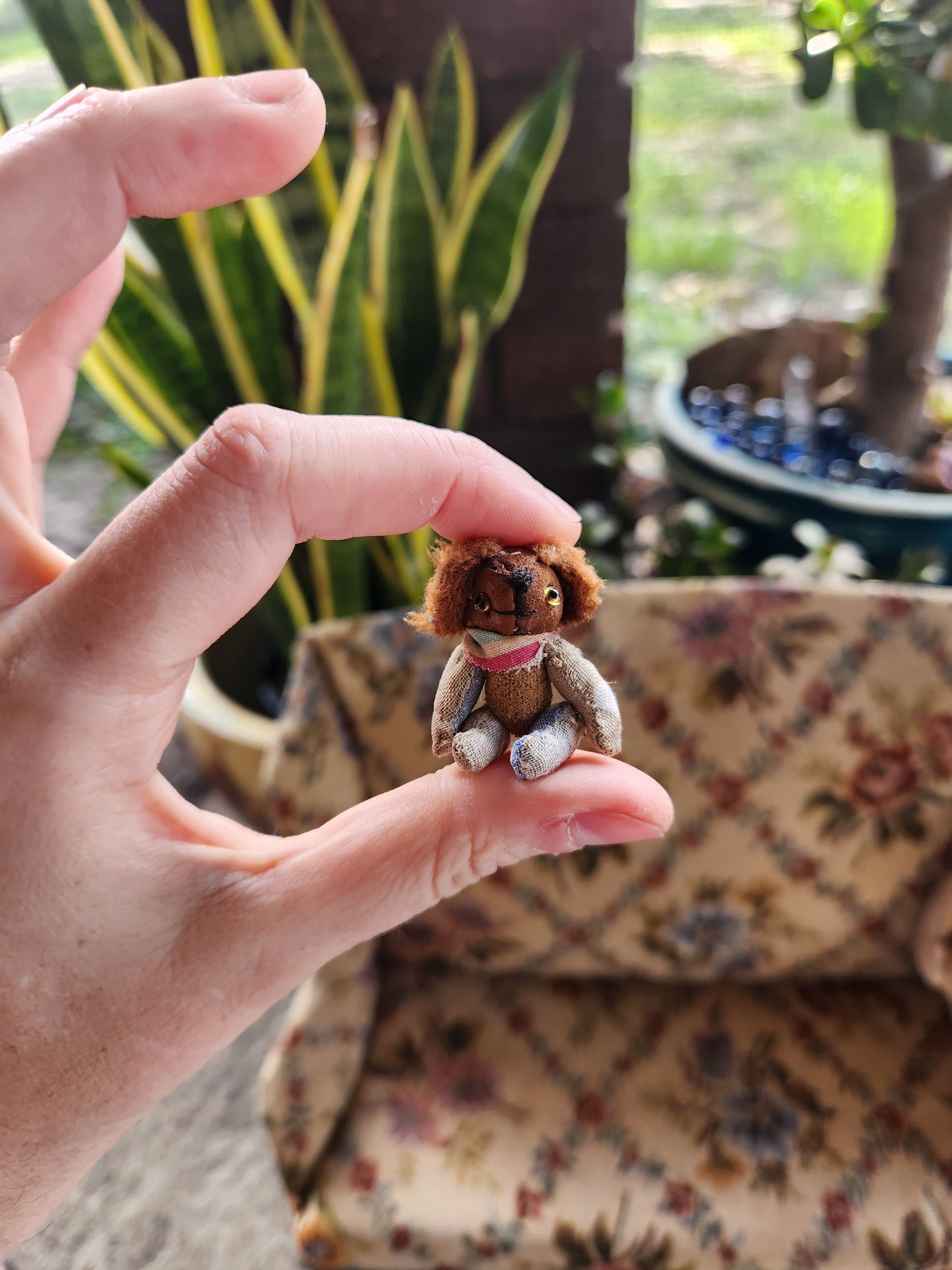 Mini Raggy Dog