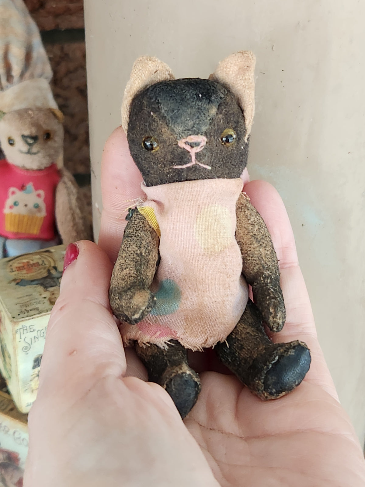 Raggy Cat