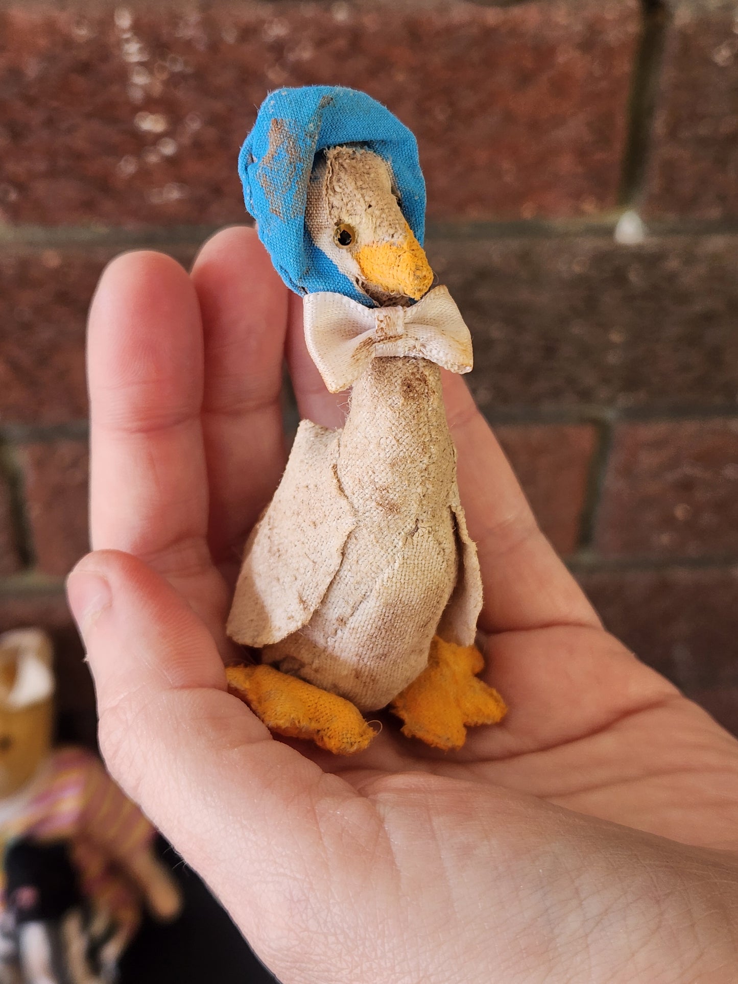 Raggy Puddleduck