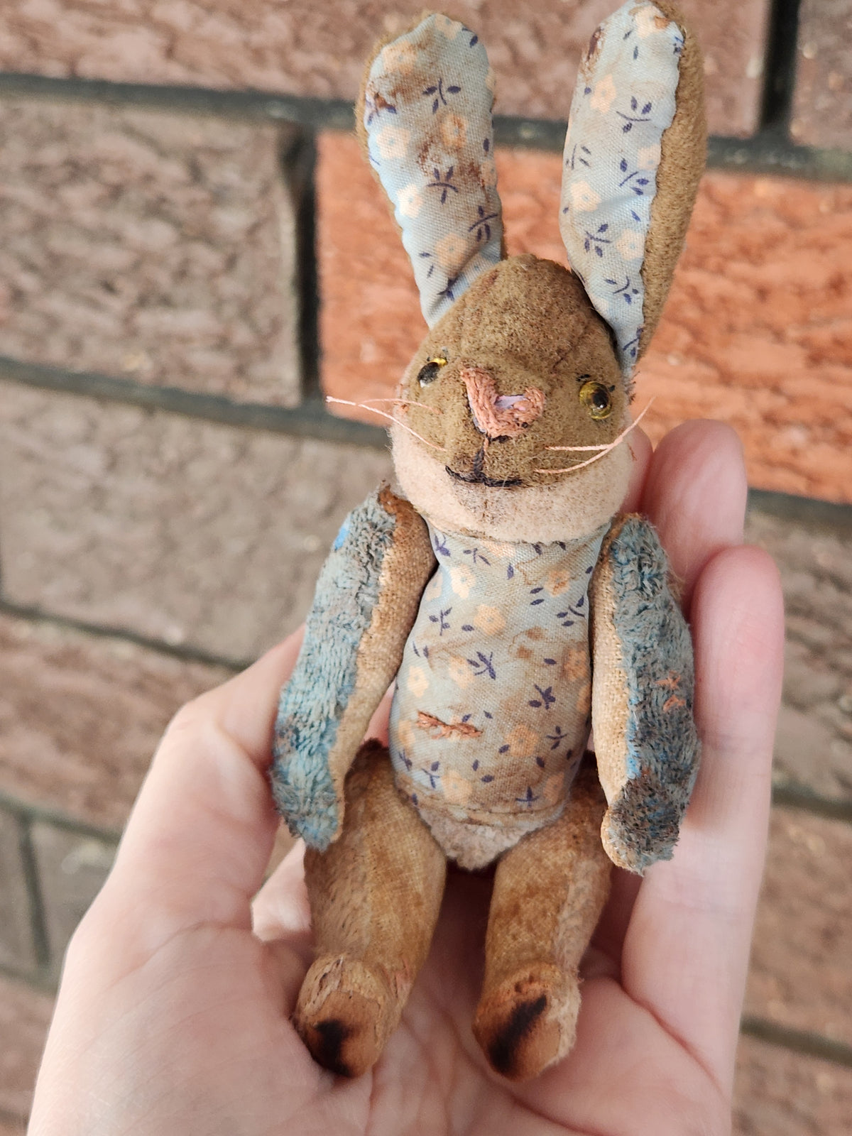 Raggy Rabbit