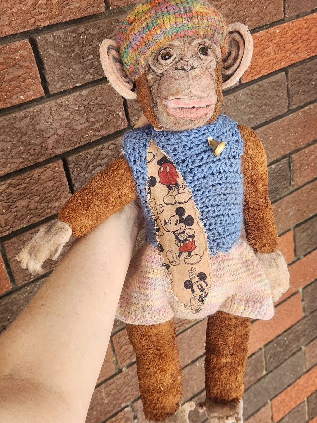 Raggy Chimp