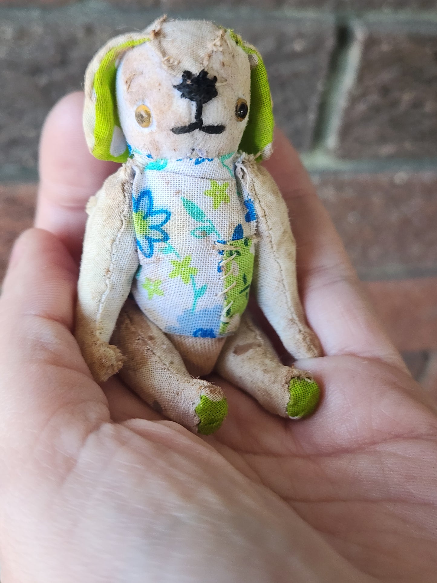 Raggy Dog