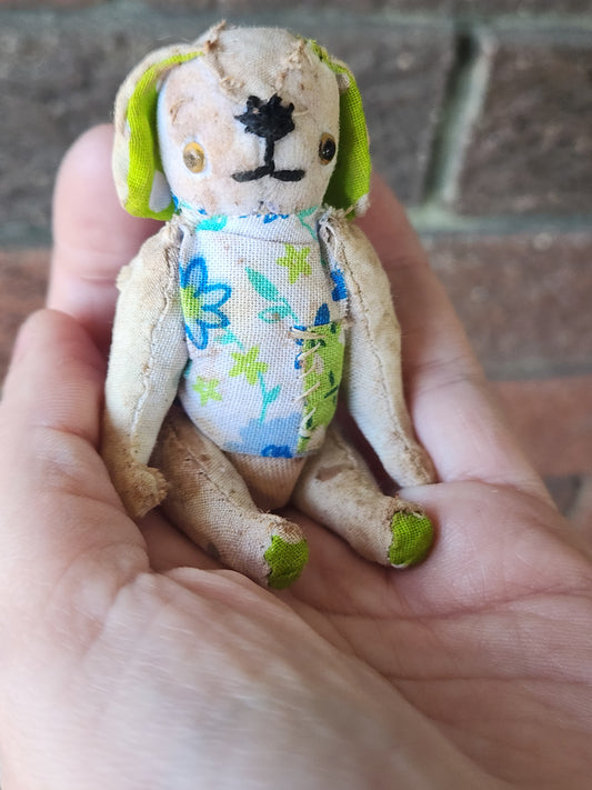 Raggy Dog