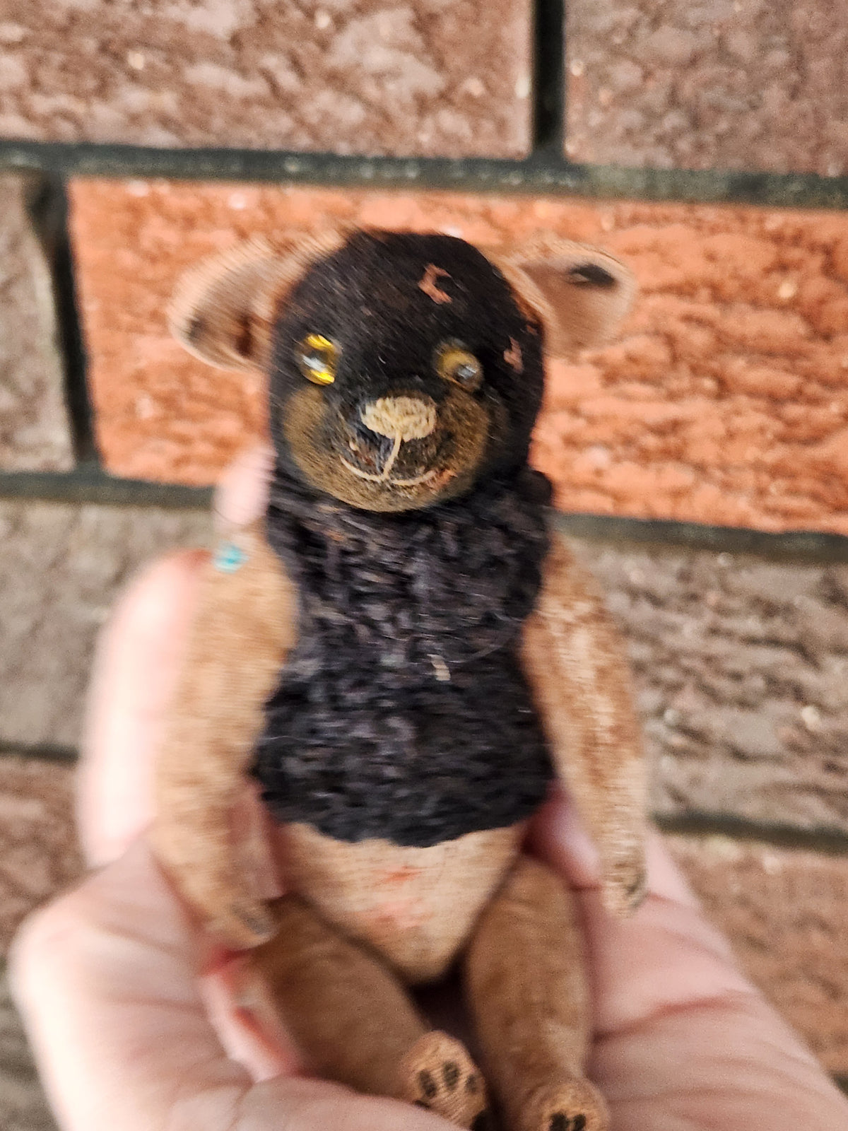 Raggy Dog