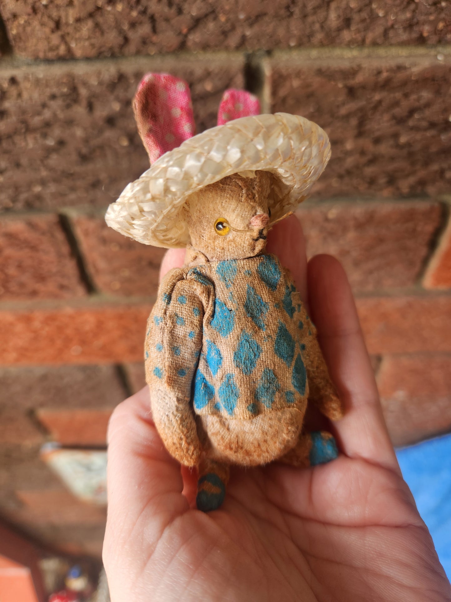Raggy Rabbit