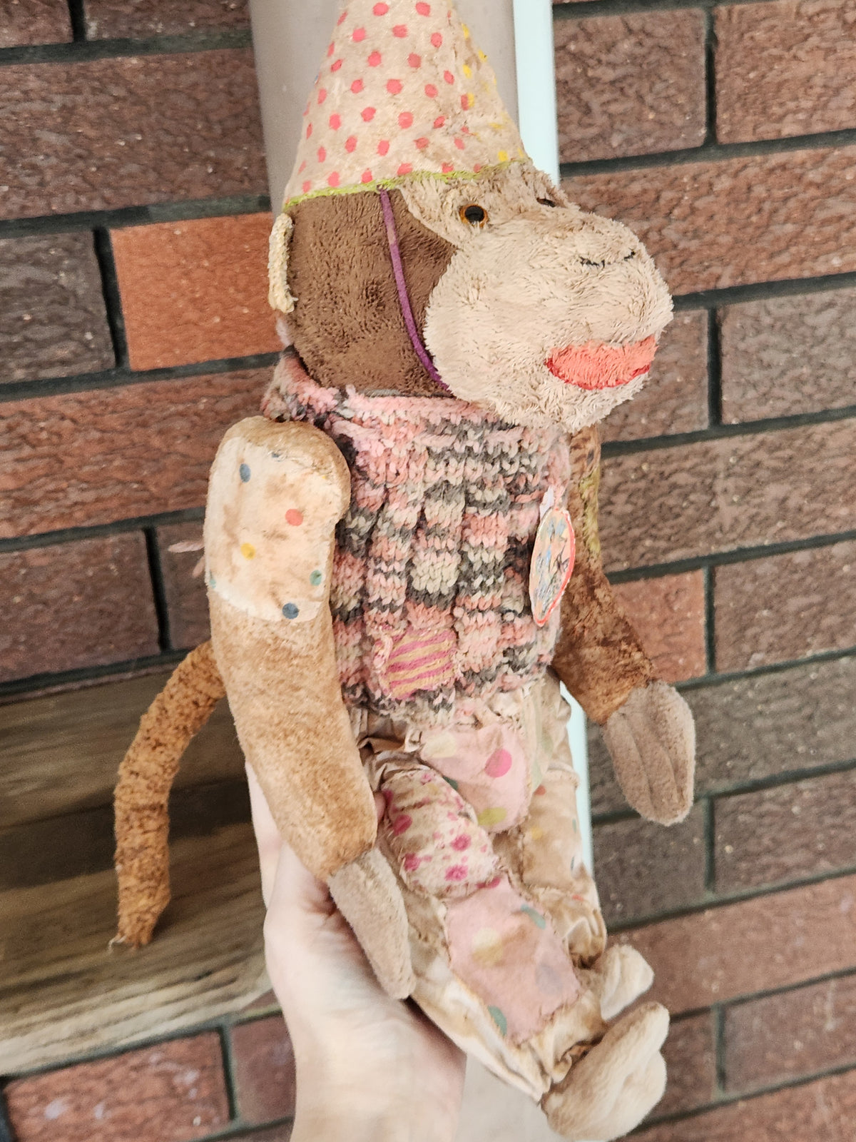 Bug Raggy Chimp
