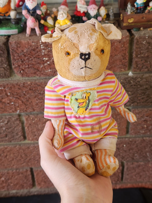 Raggy Dog