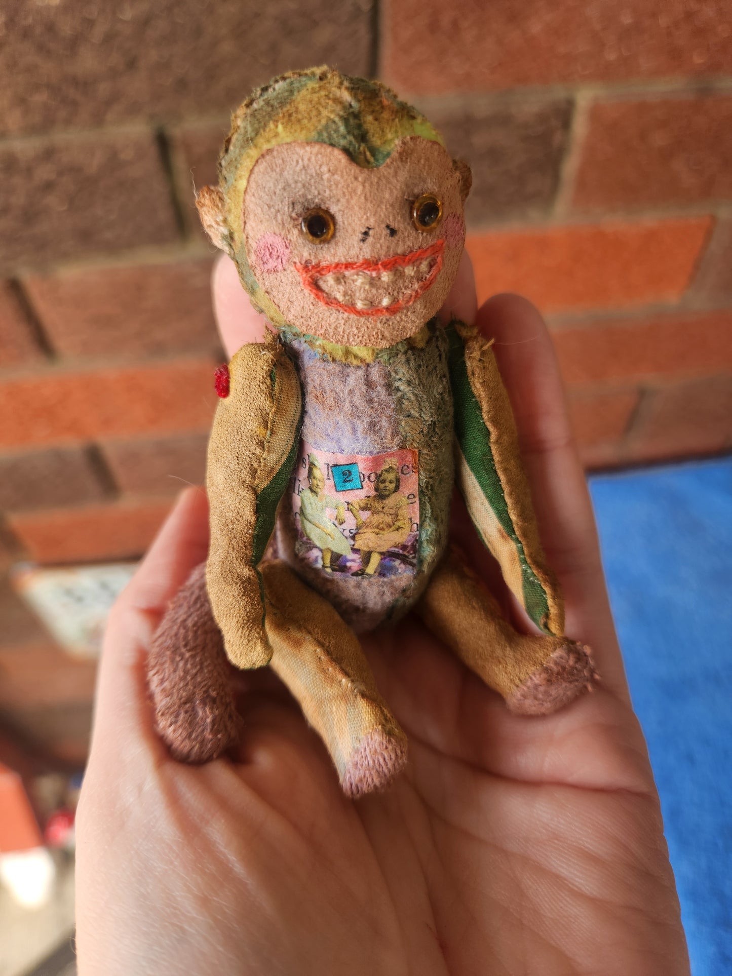 Raggy Monkey