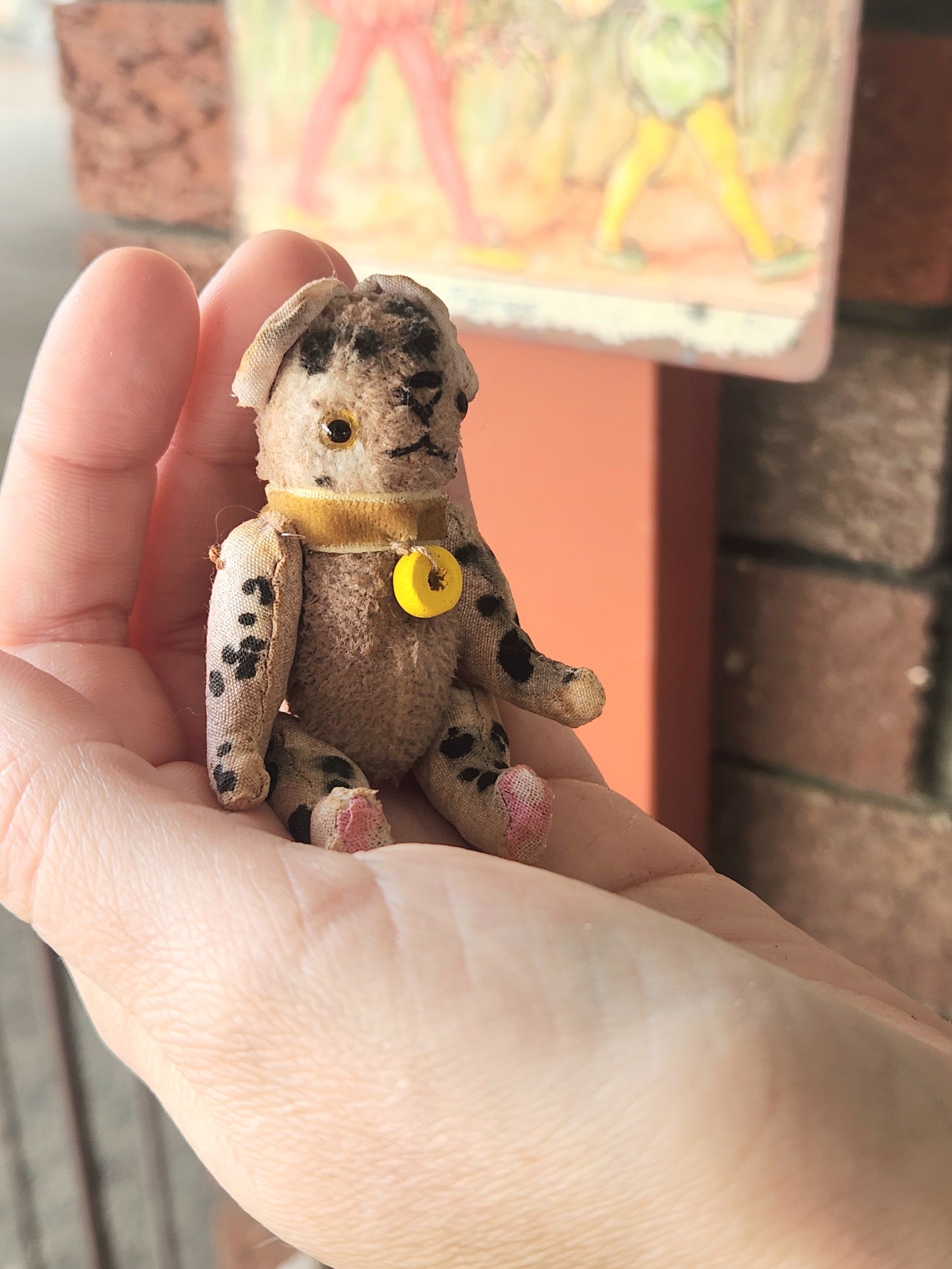 Mini Raggy Pup