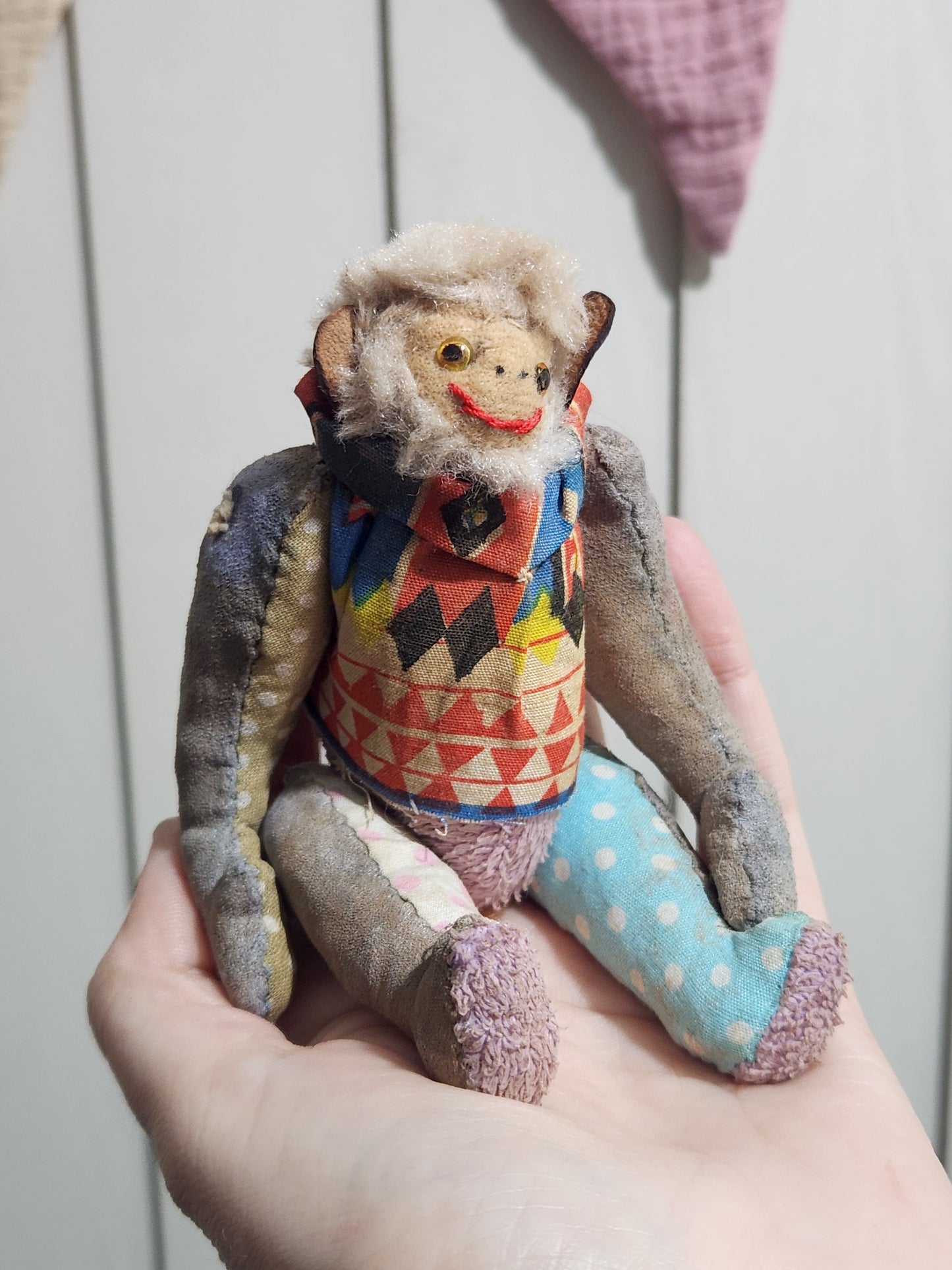 Raggy Monkey