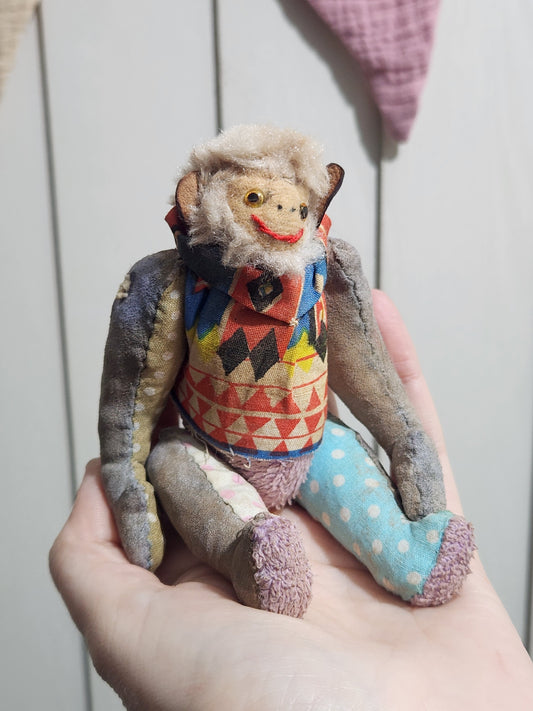 Raggy Monkey