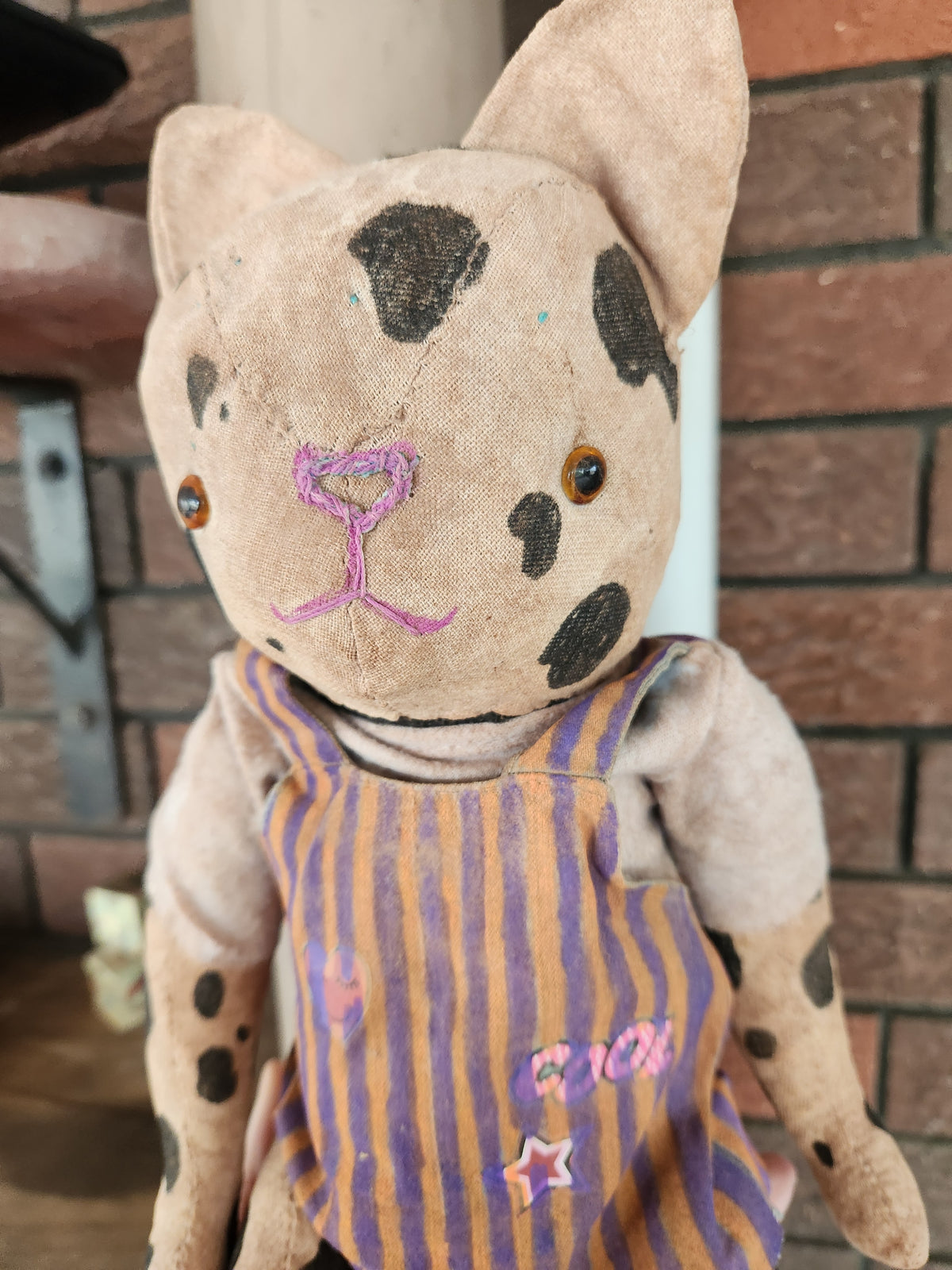 Large Raggy Cat