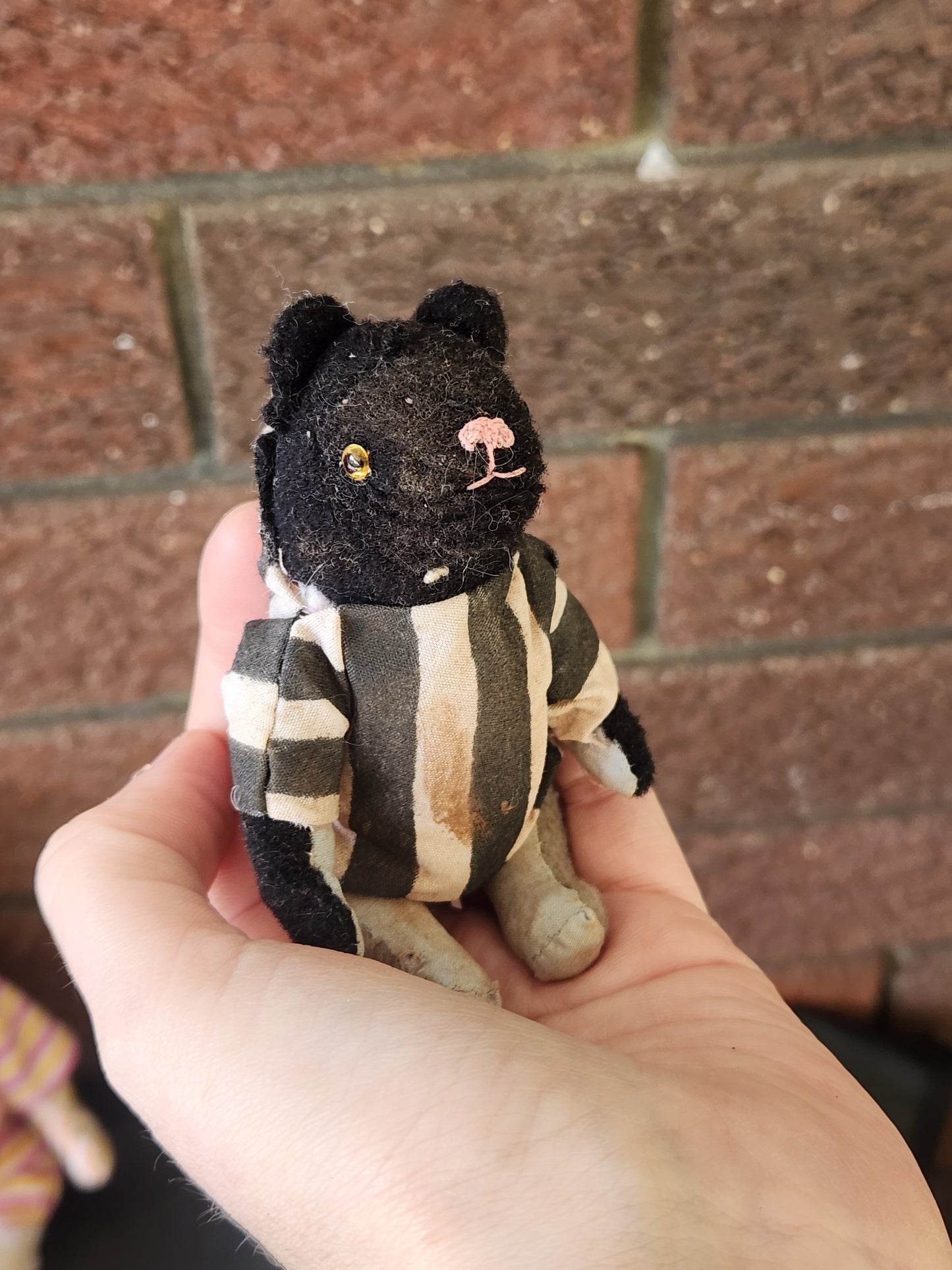 Raggy (who knows?)