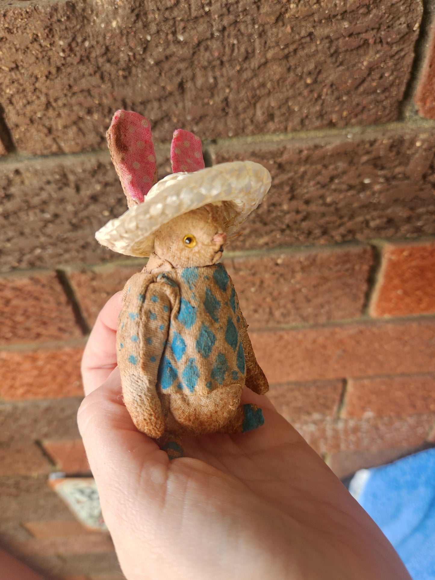 Raggy Rabbit