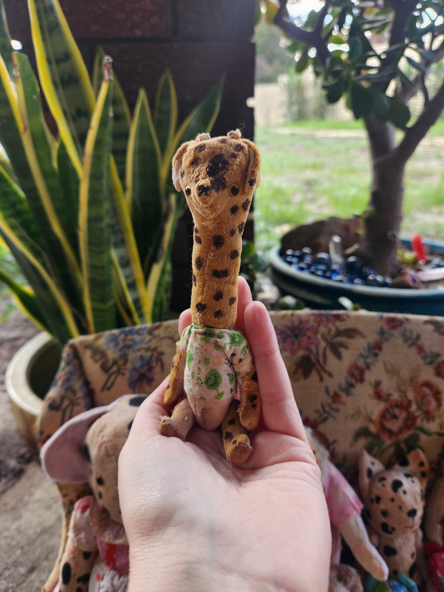 Raggy Giraffe