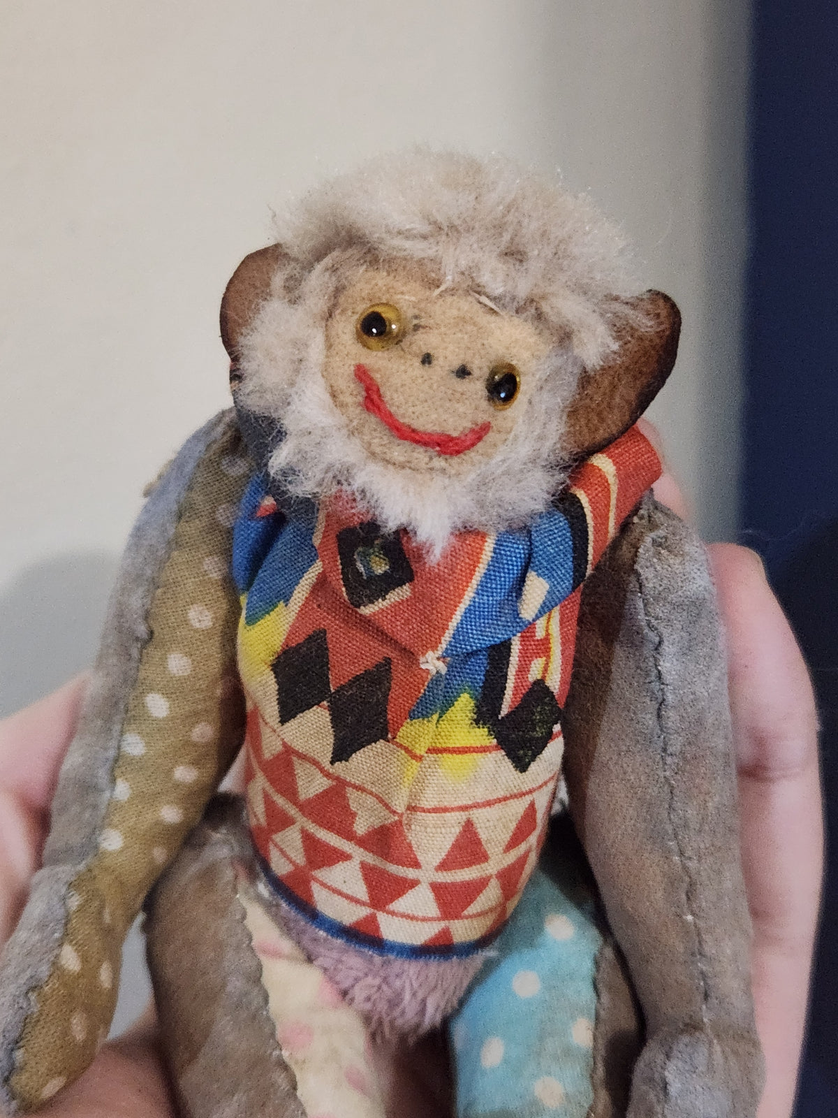 Raggy Monkey
