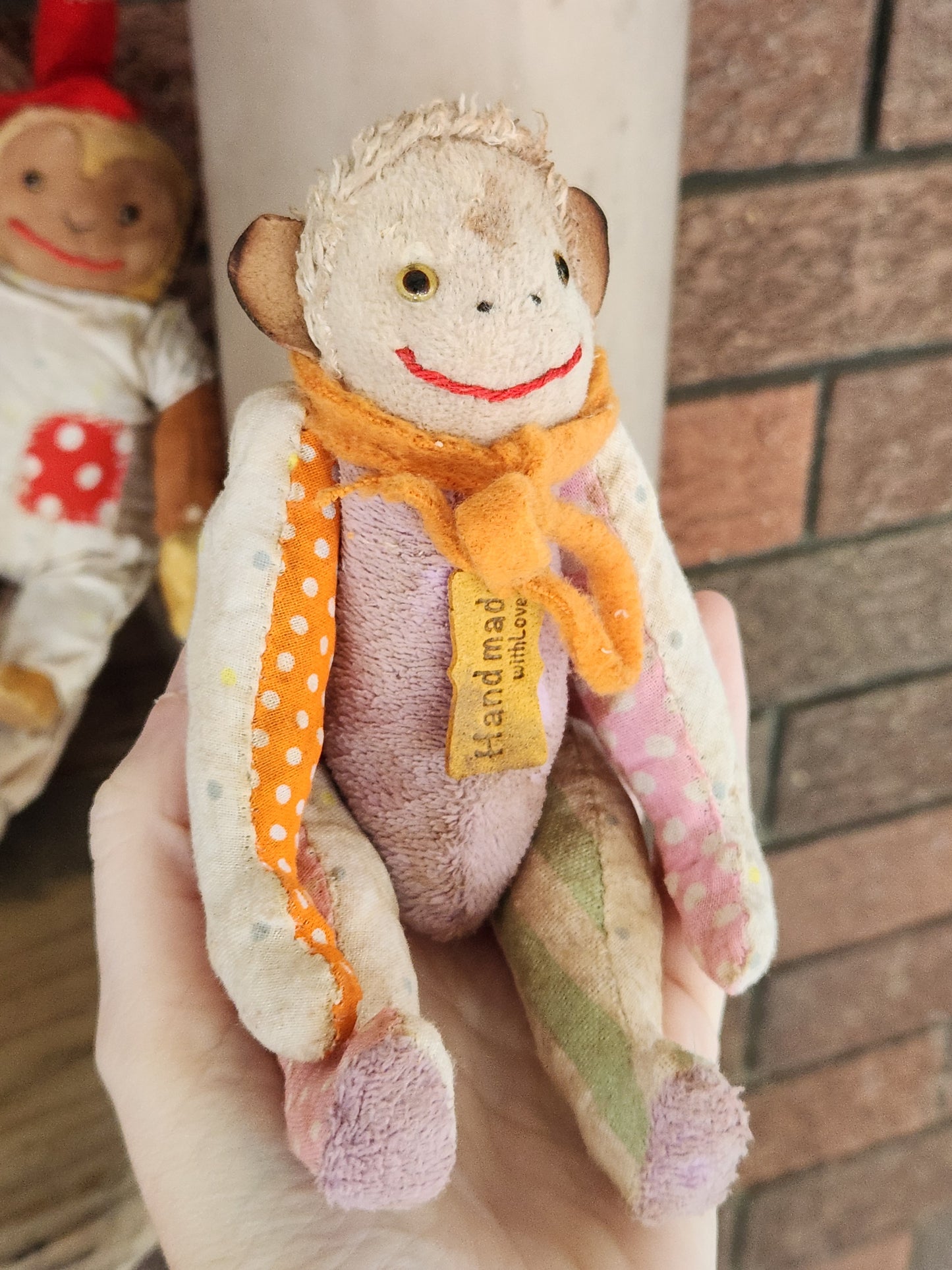 Raggy Monkey
