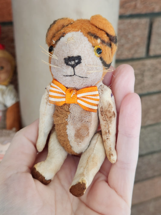 Raggy Tiger