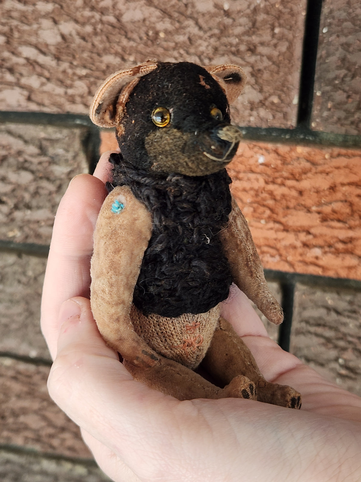 Raggy Dog