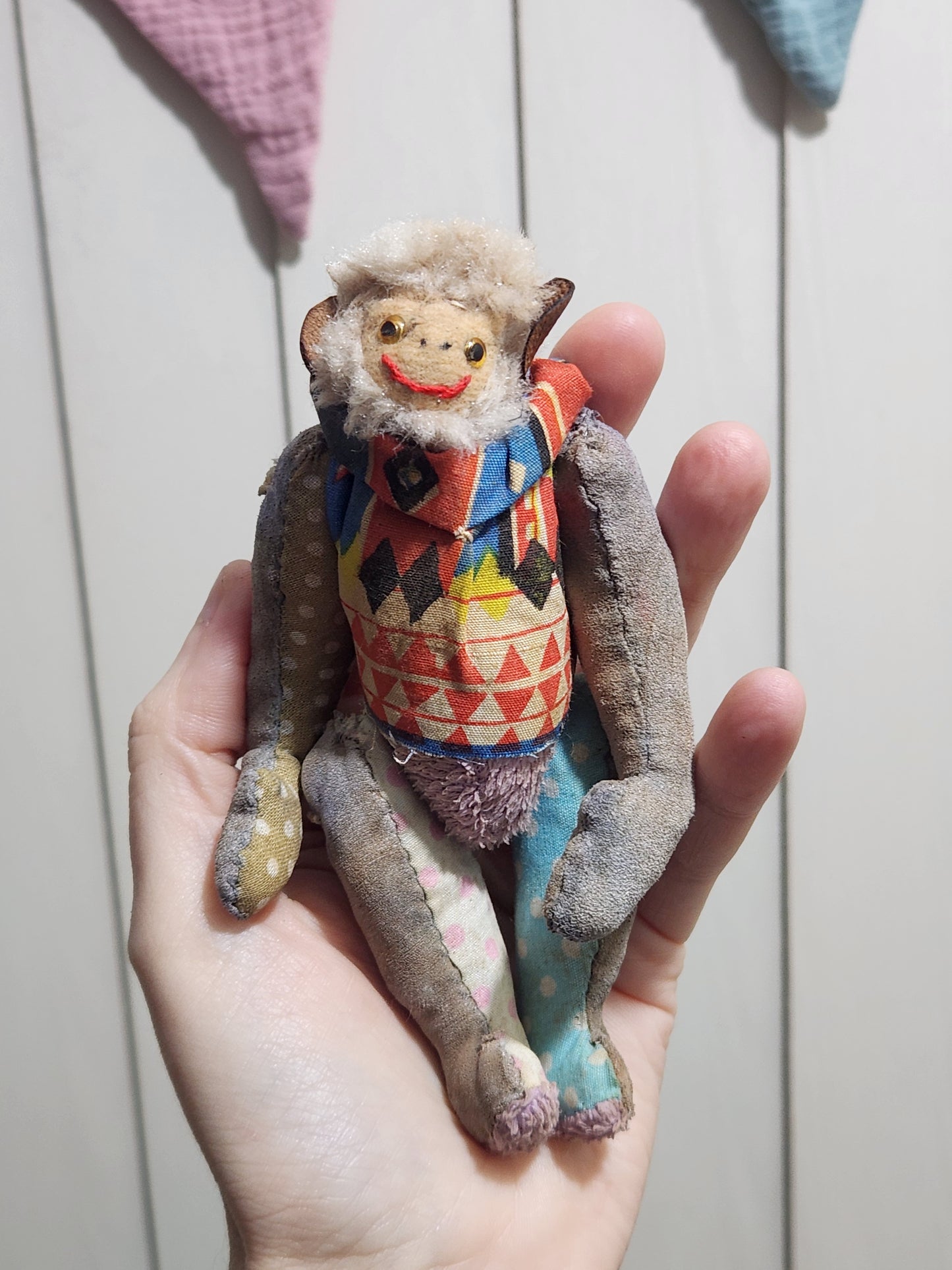 Raggy Monkey