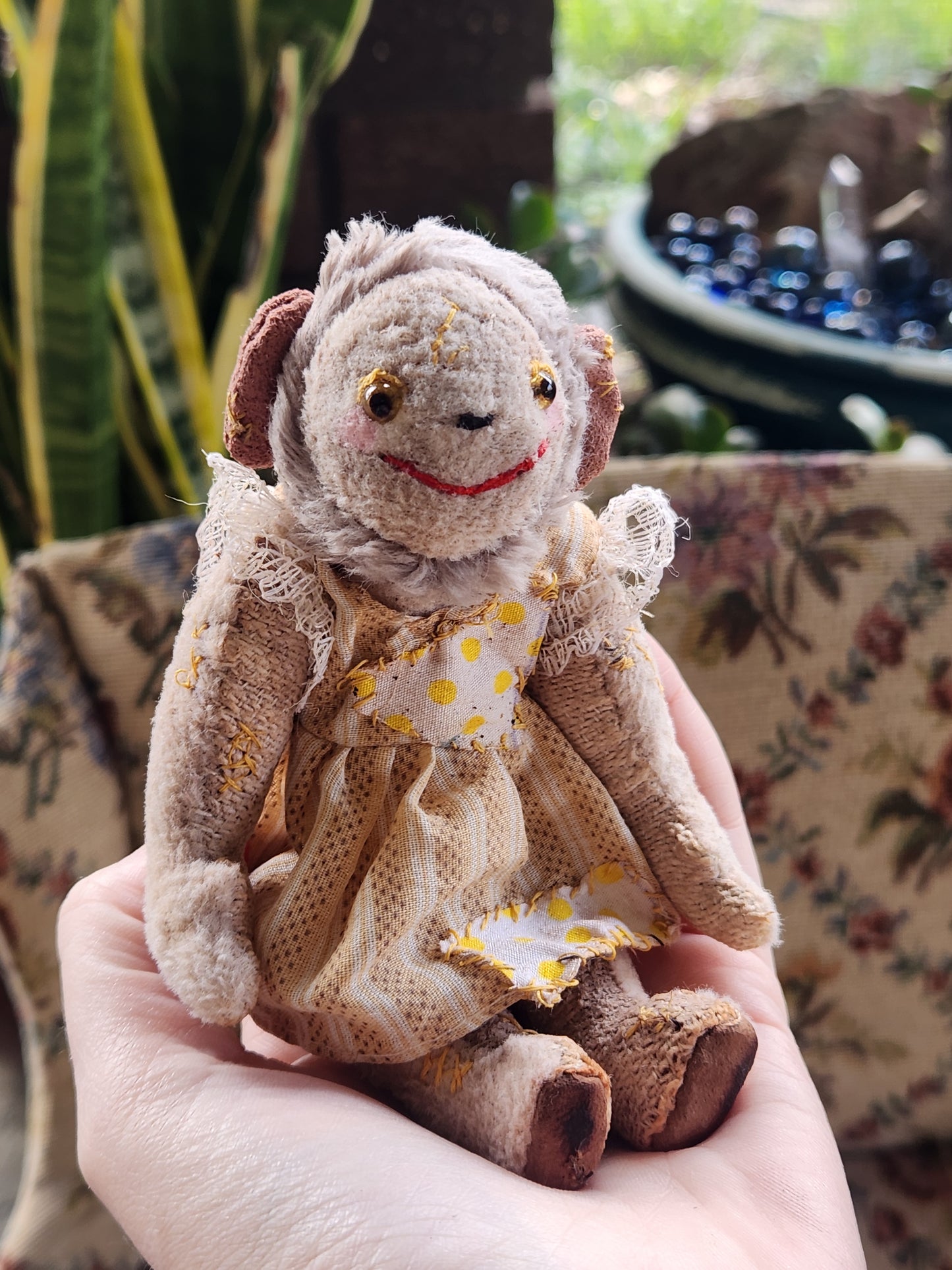 Raggy Monkey
